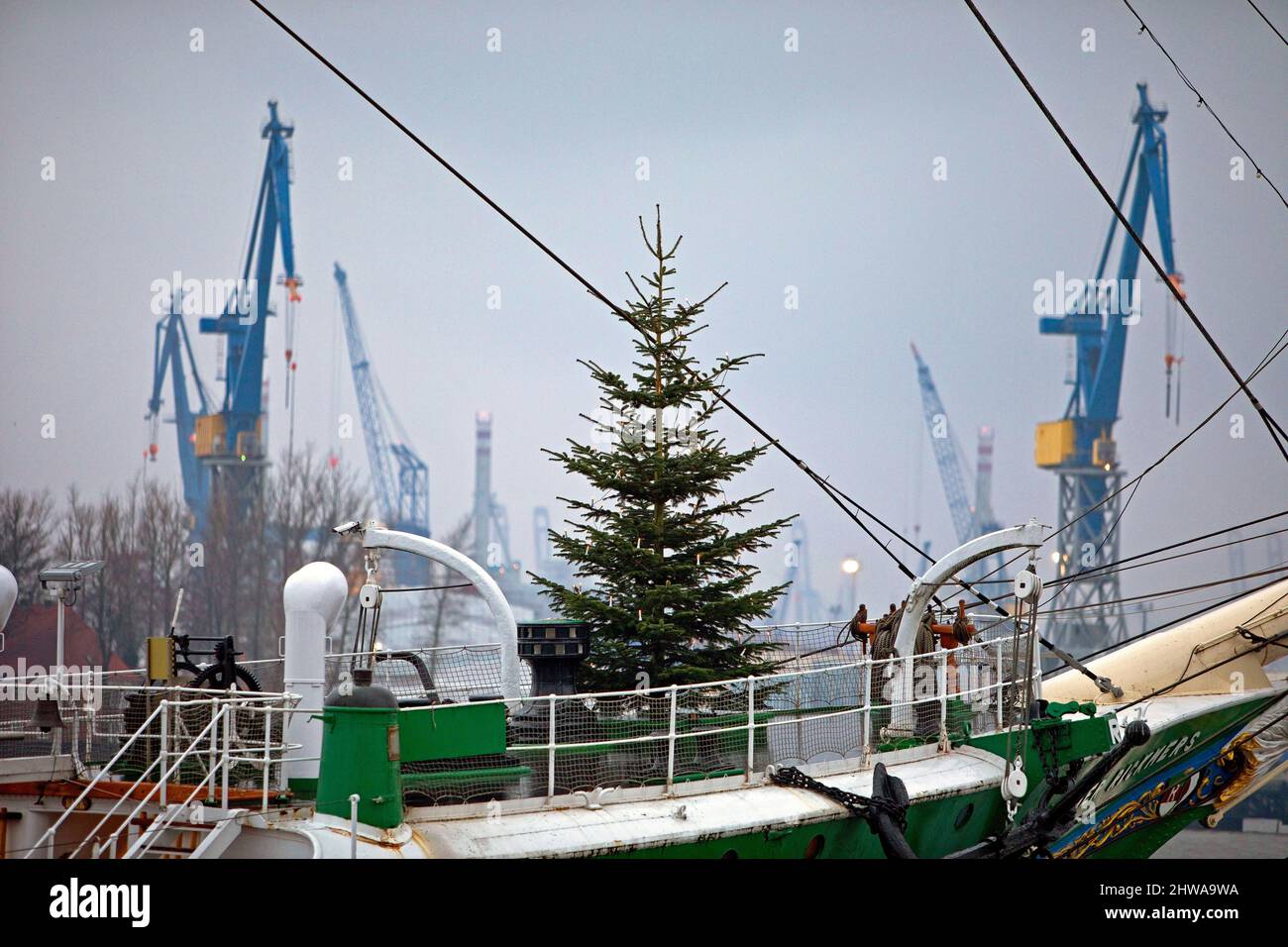 Christmas tree on mueseum ship Rickmer Rickmers and harbour cranes in the background, Germany, Hamburg Stock Photo