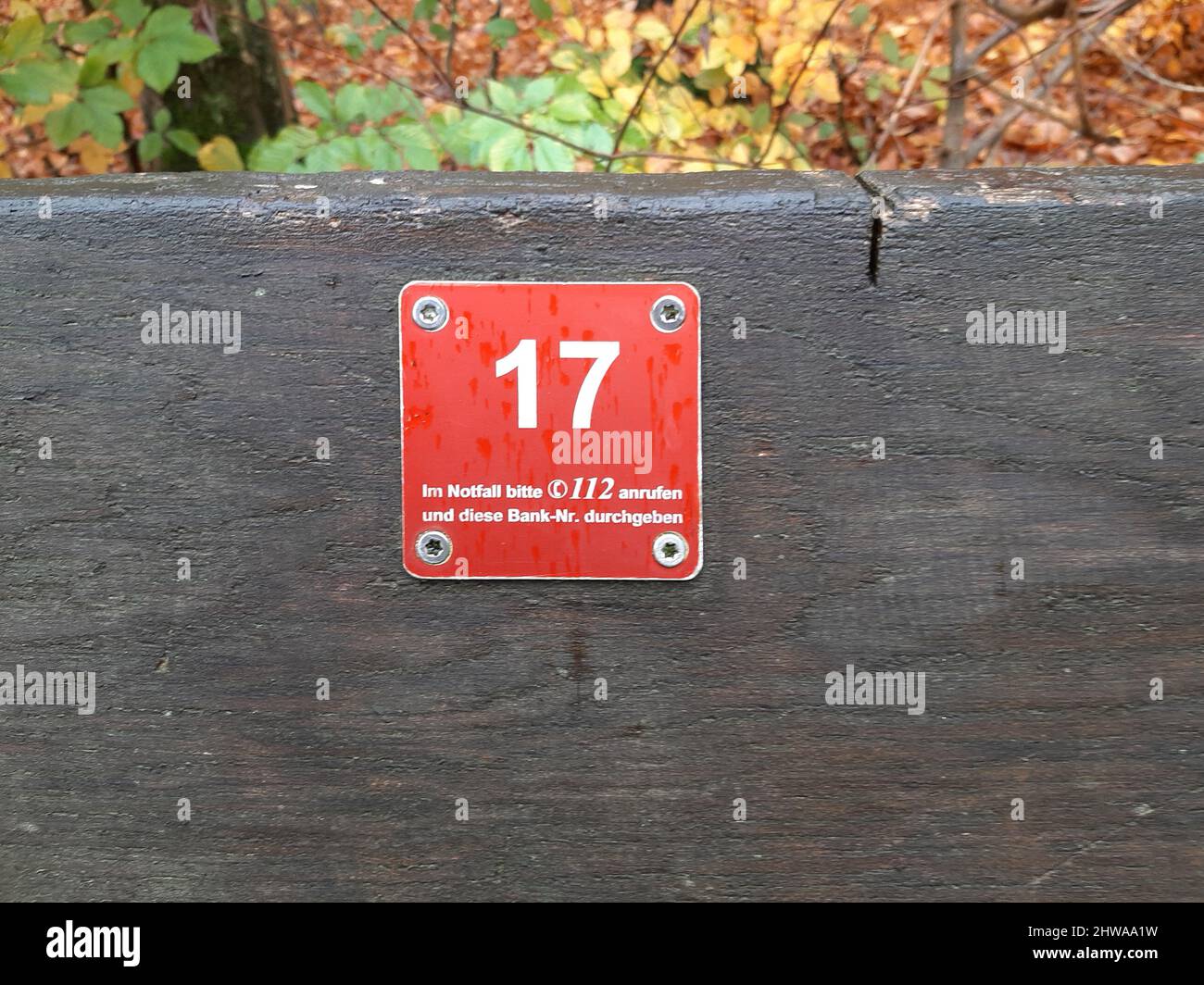 Emergency call sign on a bench in forest, Germany Stock Photo