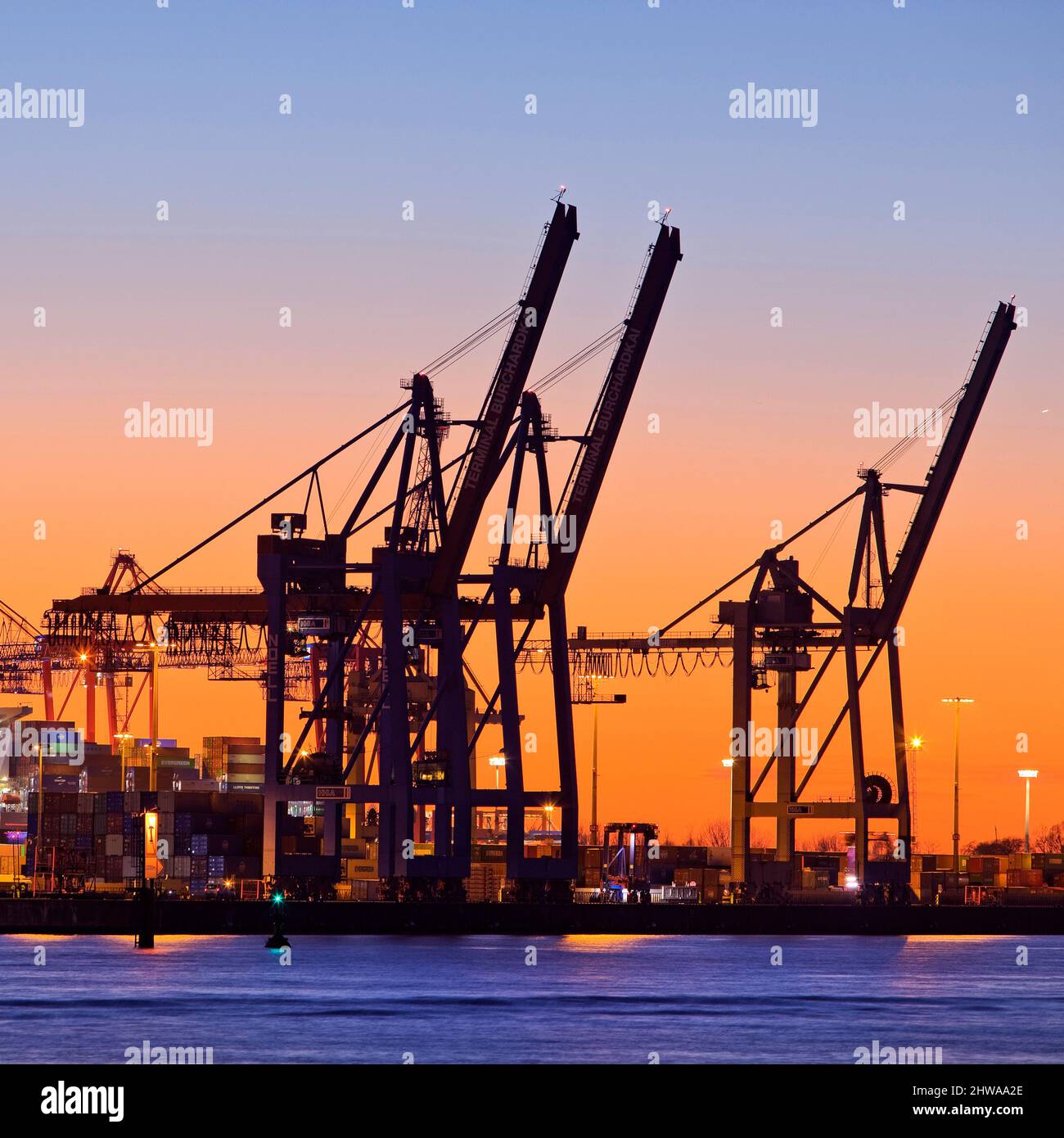 Cranes at the container terminal Burchardkai at sunset, Port of Hamburg, Germany, Hamburg Stock Photo