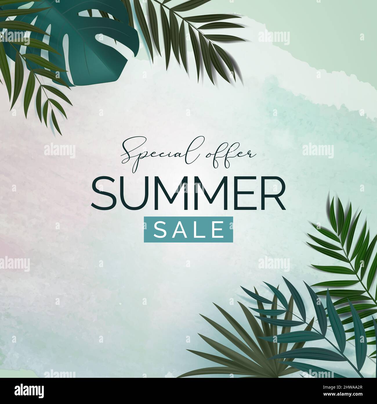 Summer Sale Natural Background with Tropical Palm and Monstera Leaves ...