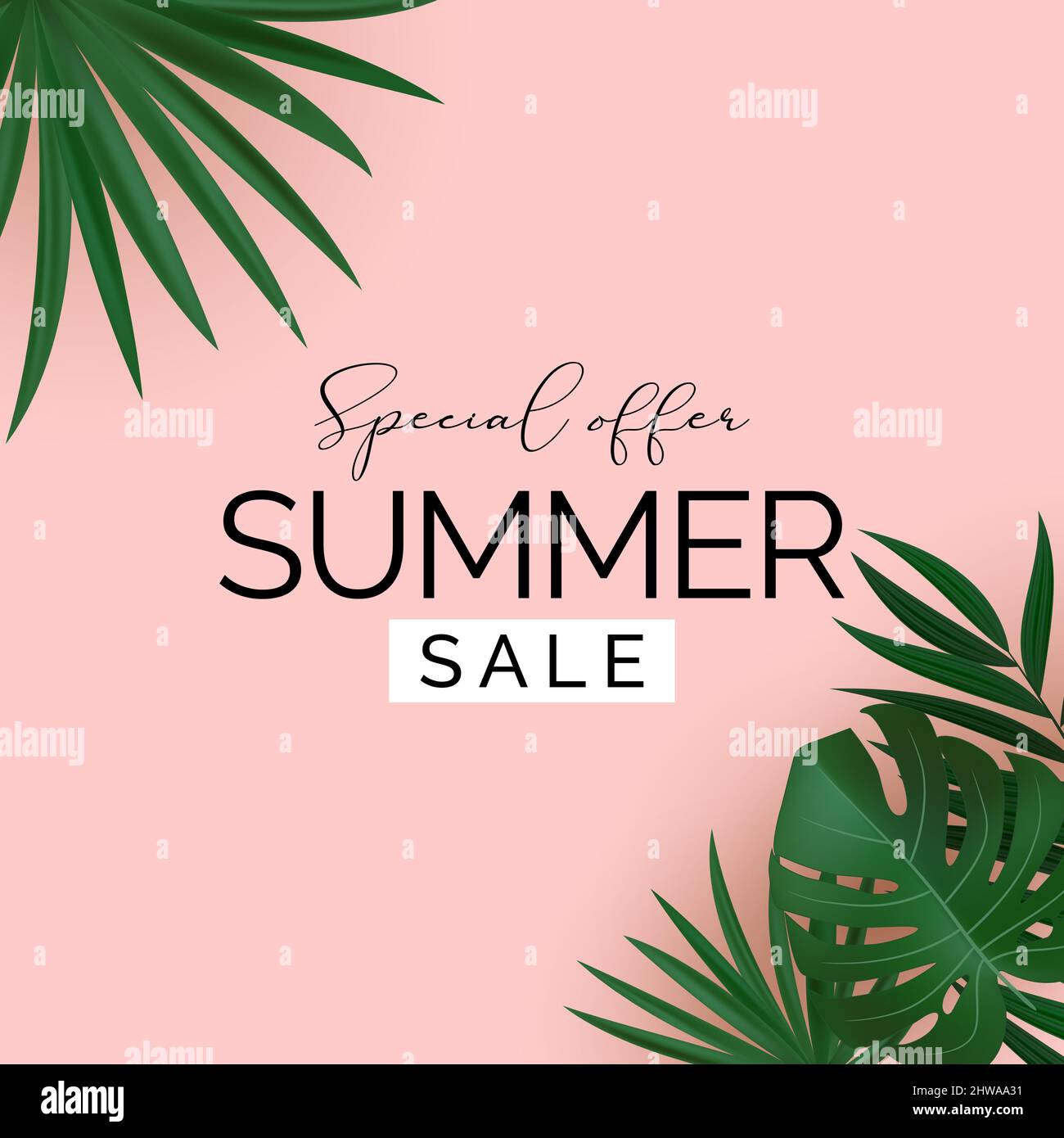 Summer Sale Natural Background with Tropical Palm and Monstera Leaves ...