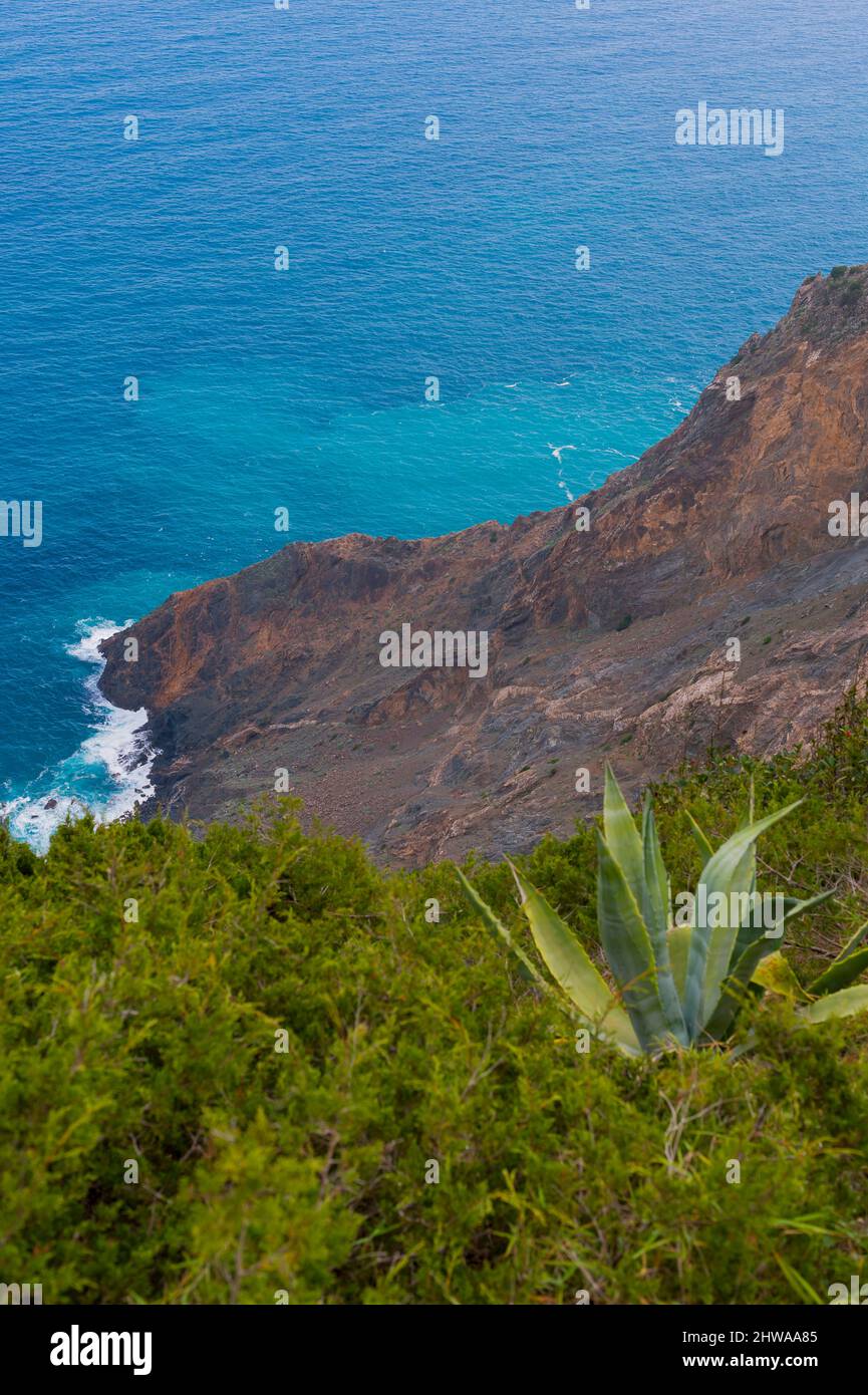 Agave, Century Plant (Agave americana), at the steep coast of La Gomera, Canary Islands, La Gomera Stock Photo