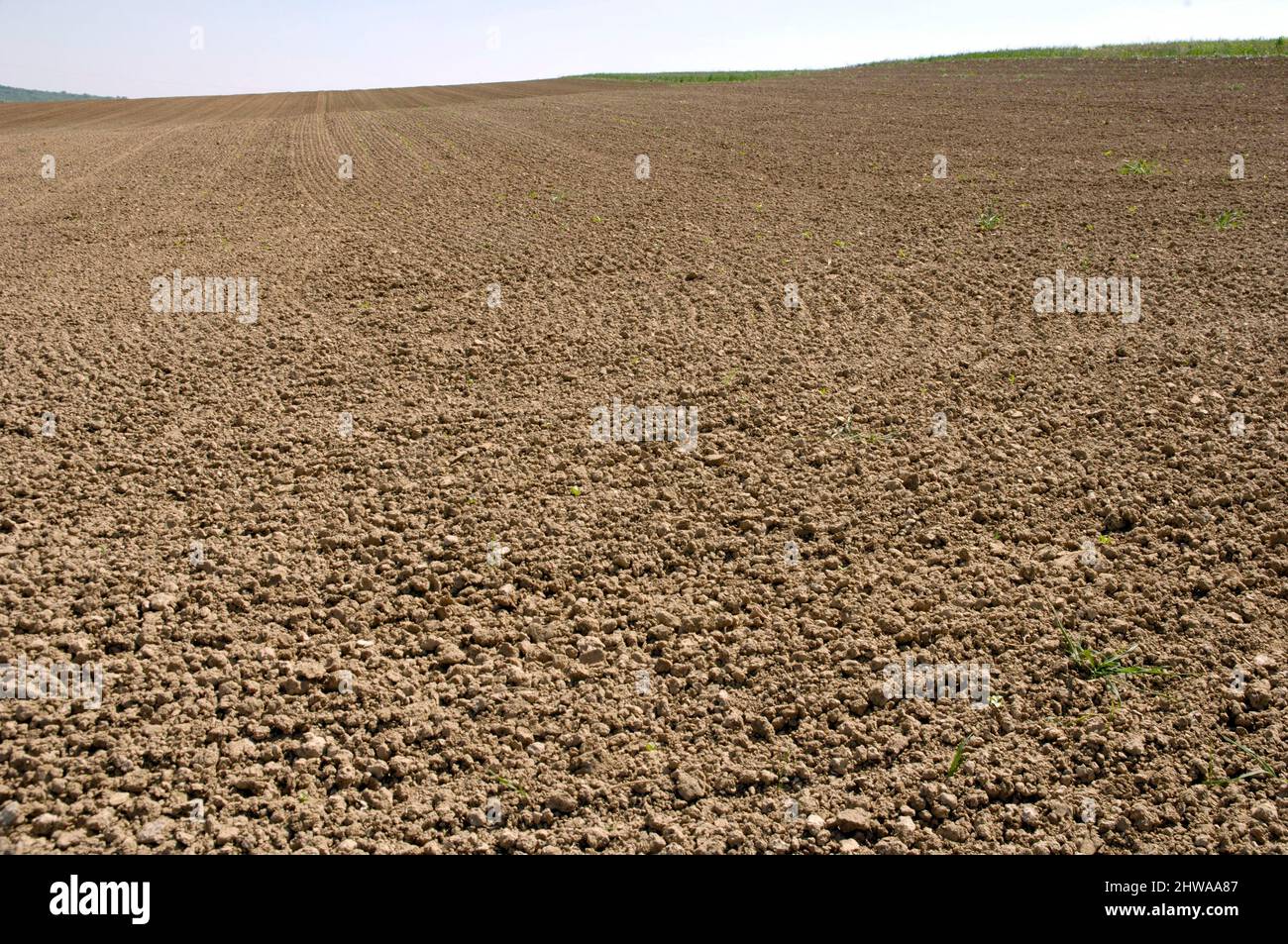 farm land, Germany Stock Photo
