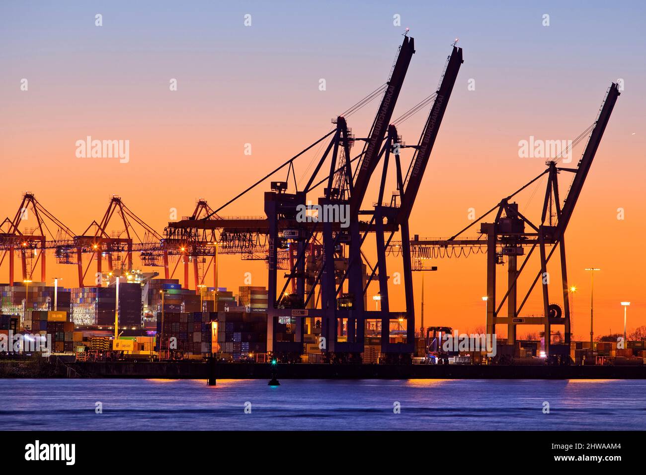 Cranes at the container terminal Burchardkai at sunset, Port of Hamburg, Germany, Hamburg Stock Photo