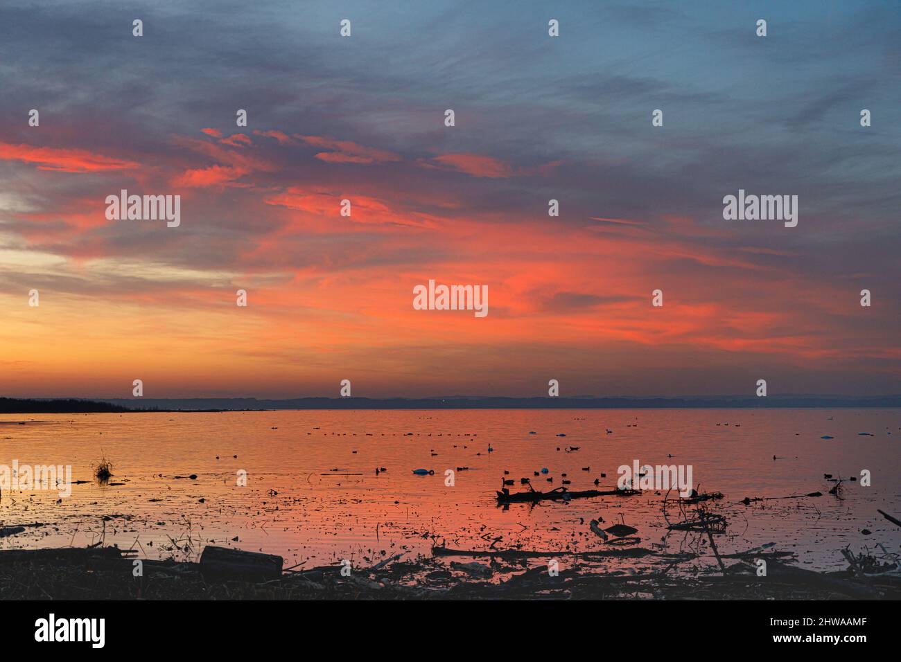 evening red reflecting in Lake Chiemsee, Germany, Bavaria, Lake Chiemsee Stock Photo