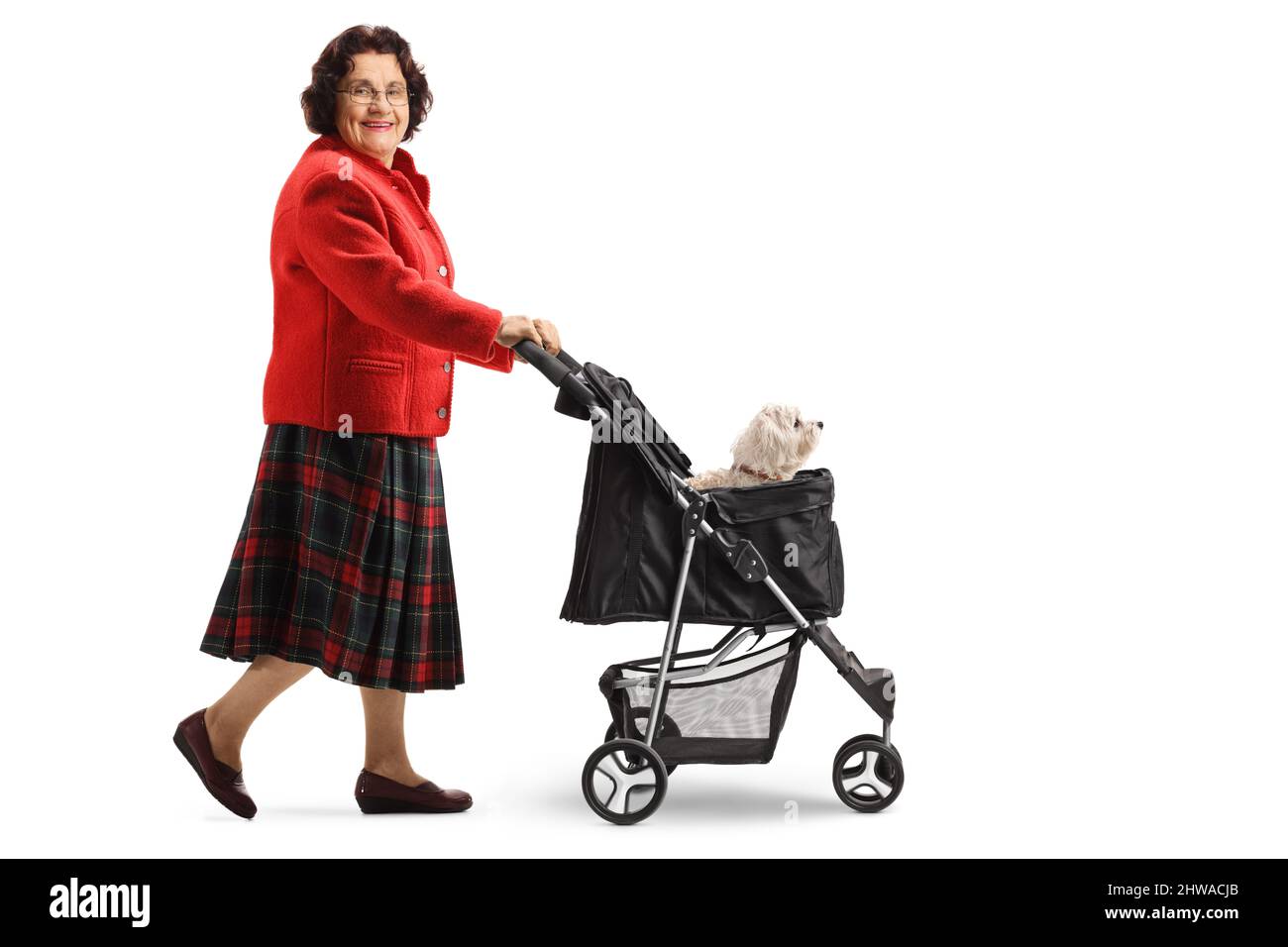 Full length profile shot of an elderly woman walking with a dog stroller and looking at camera isolated on white background Stock Photo