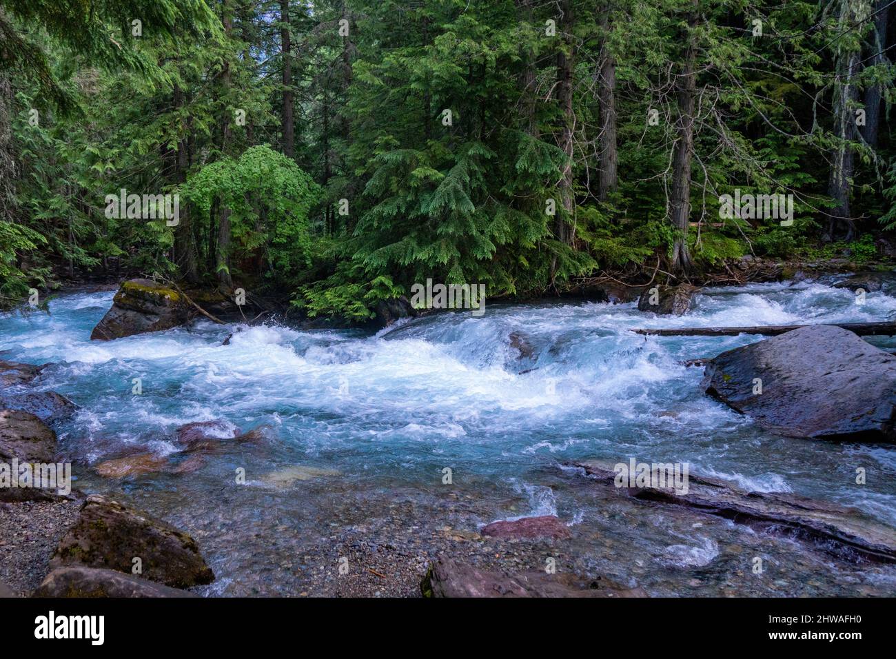 avalanche-creek-in-glacier-national-park-2HWAFH0.jpg