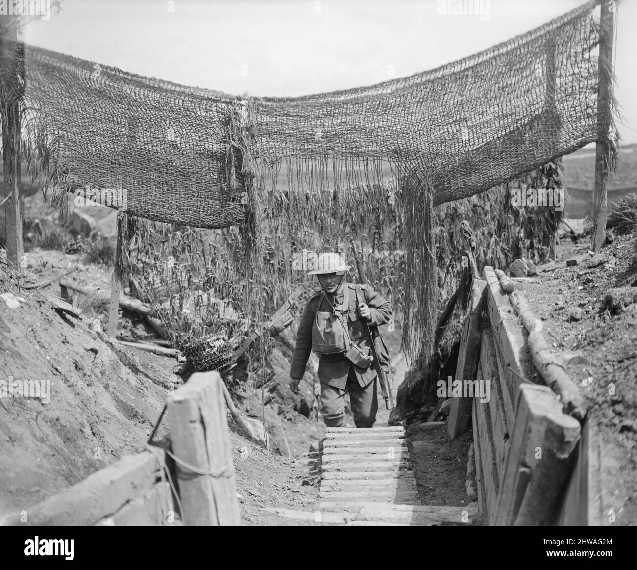 Soldier of the 20th Light Division in a communication trench with camouflage netting to prevent enemy observation in front of Lens, 14 May 1918. Stock Photo