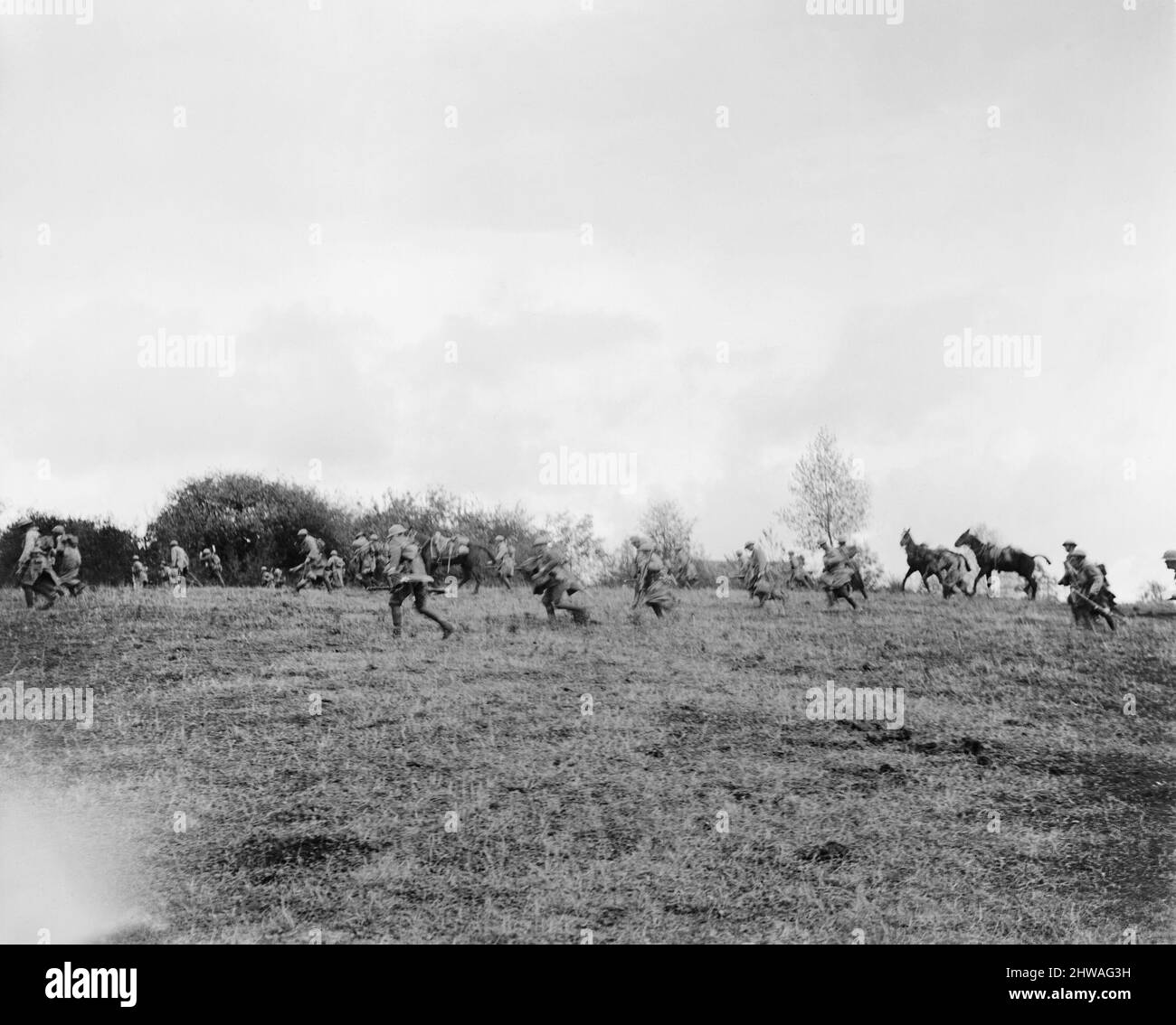 Troops of the American 30th Infantry Division moving forward during their advance on the village of Premont, 8 October 1918 during the Hundred Days Offensive at the Battle of Cambrai. Stock Photo
