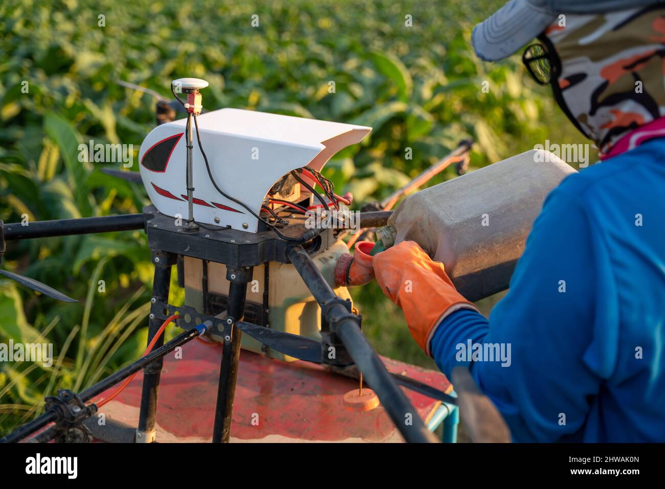Agriculture drone fly, Farmers are pouring hormonal fertilizer to use