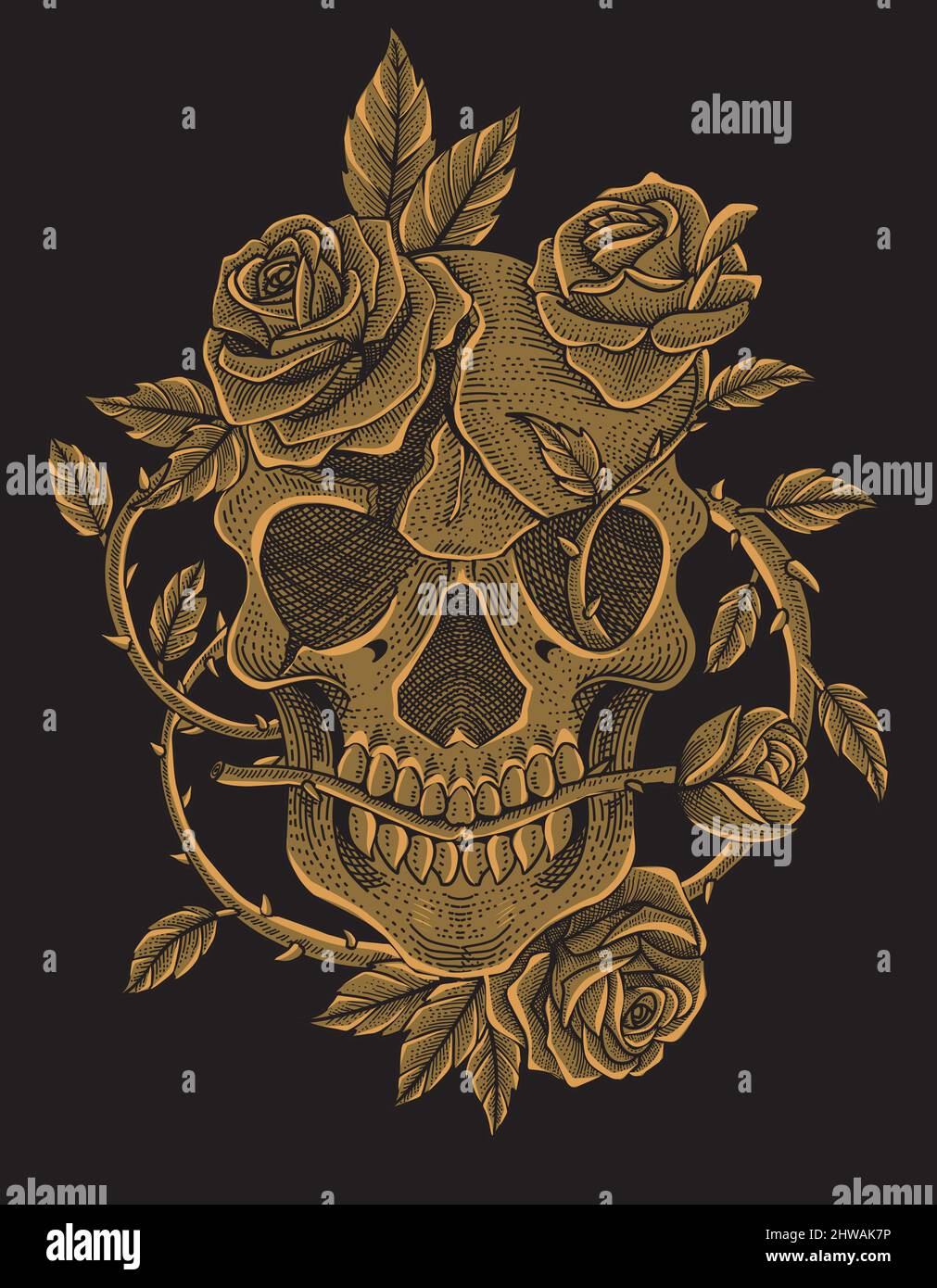 illustration vector skull rose with engraving style Stock Vector Image ...