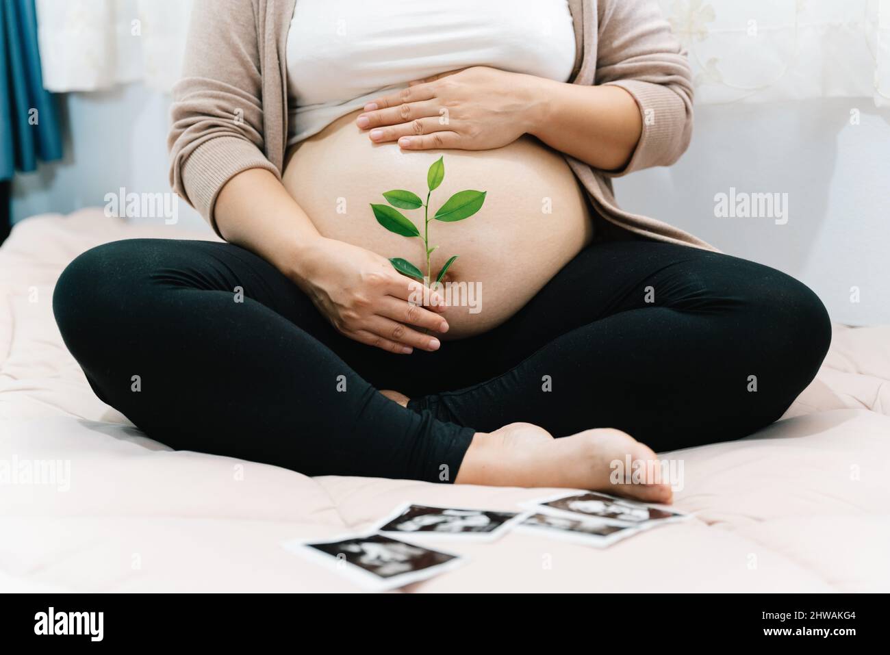 A Pregnant woman holds green sprout plant near her belly as symbol of new life, Mother, wellbeing, fertility, unborn baby health. Concept pregnancy, m Stock Photo