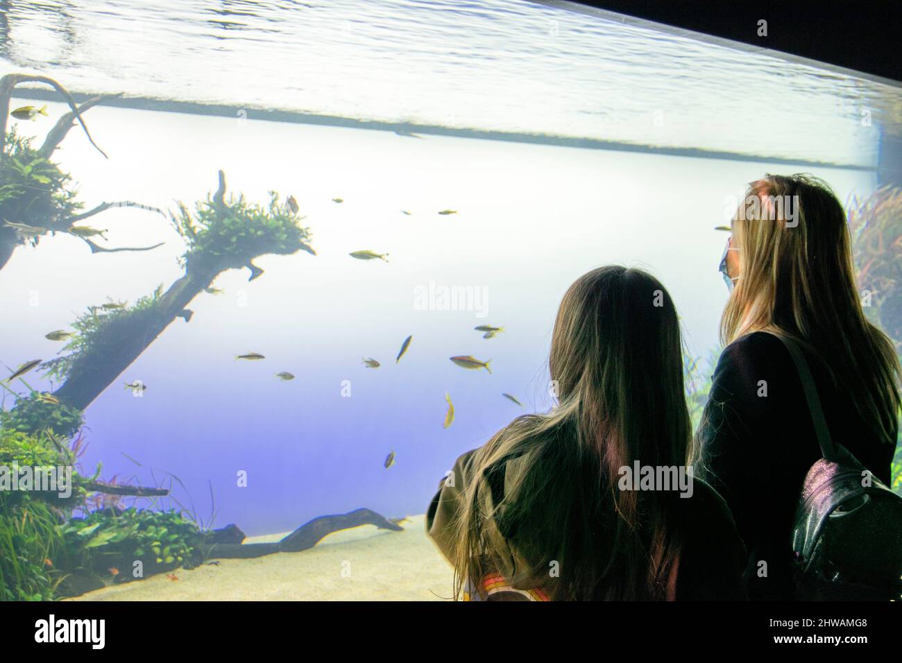 Mother and daughter watching and discussing about fishes in the Lisbon Oceanarium located in the Parque das Nações, largest indoor aquarium in Europe. Stock Photo
