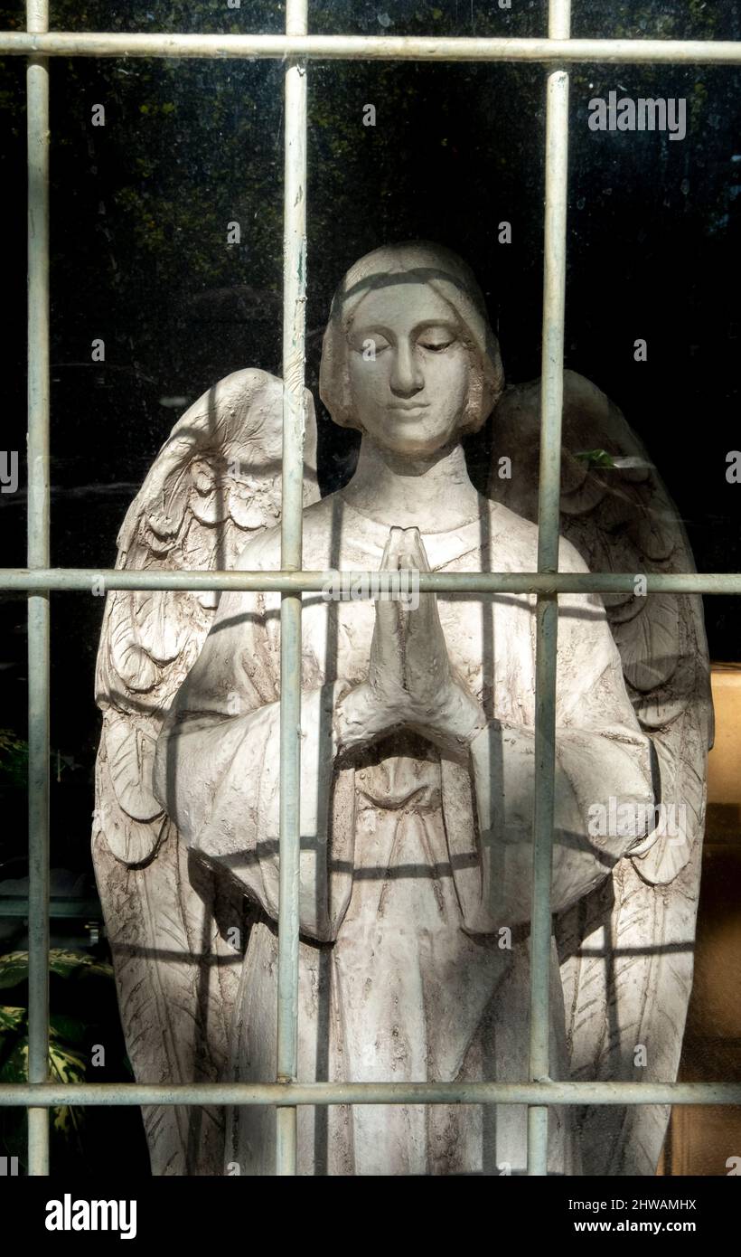 Statue of an angel in a shop window. Carlton, Melbourne, Victoria, Australia Stock Photo