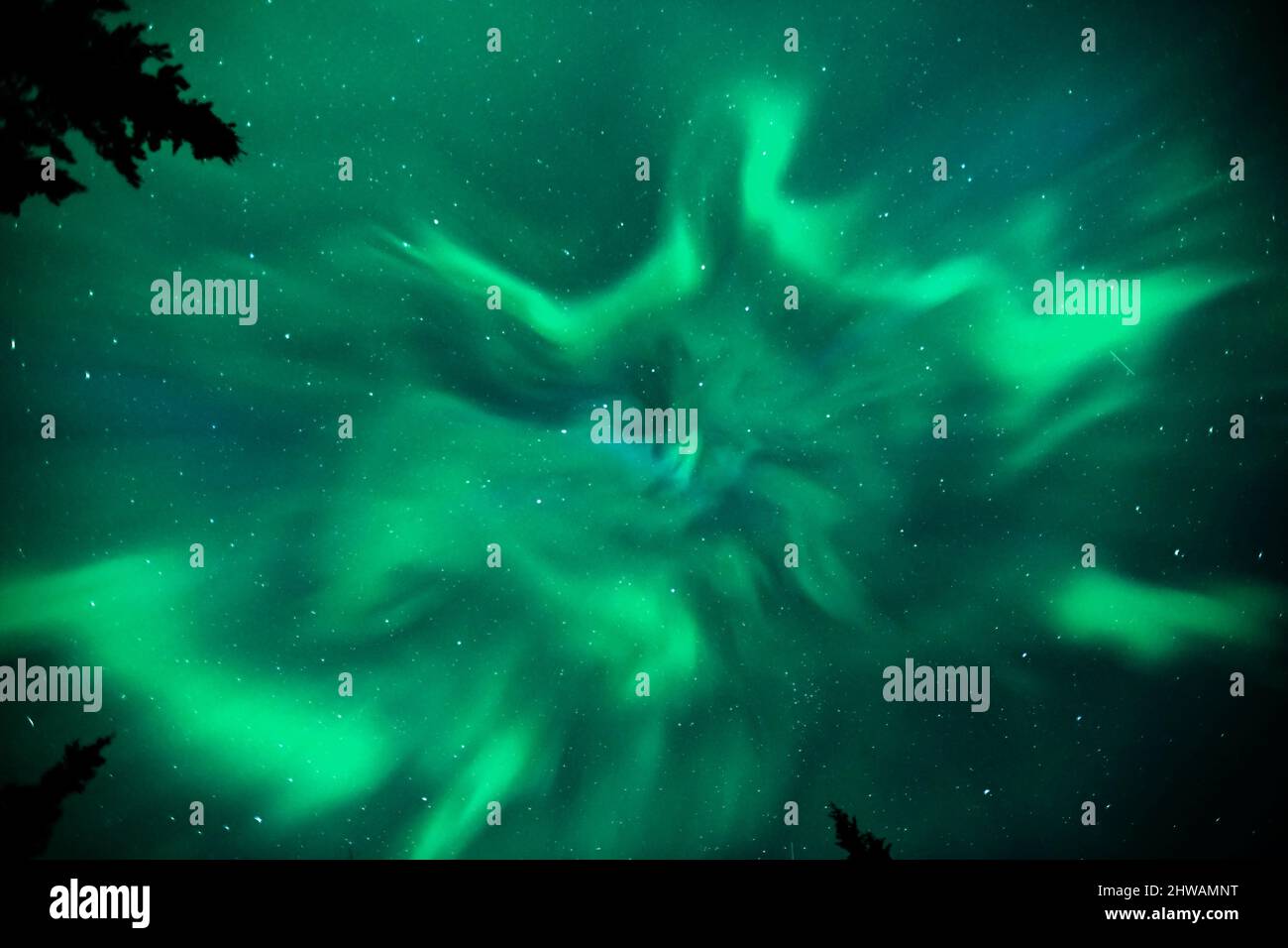Aurora Borealis, Northern Lights, Night Sky. Alaska Stock Photo Alamy
