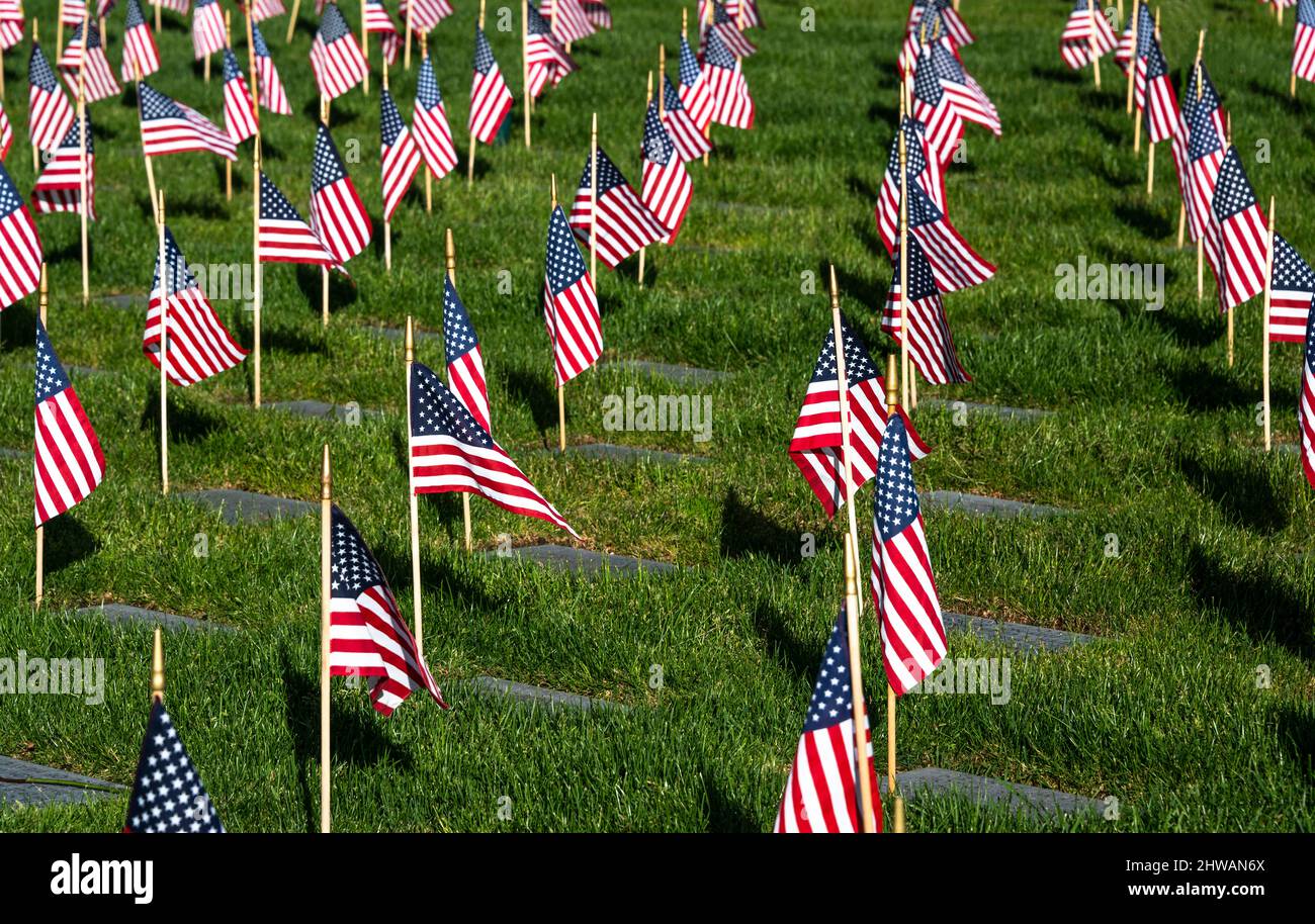 small United States stick flags in the ground on Memorial Day Stock