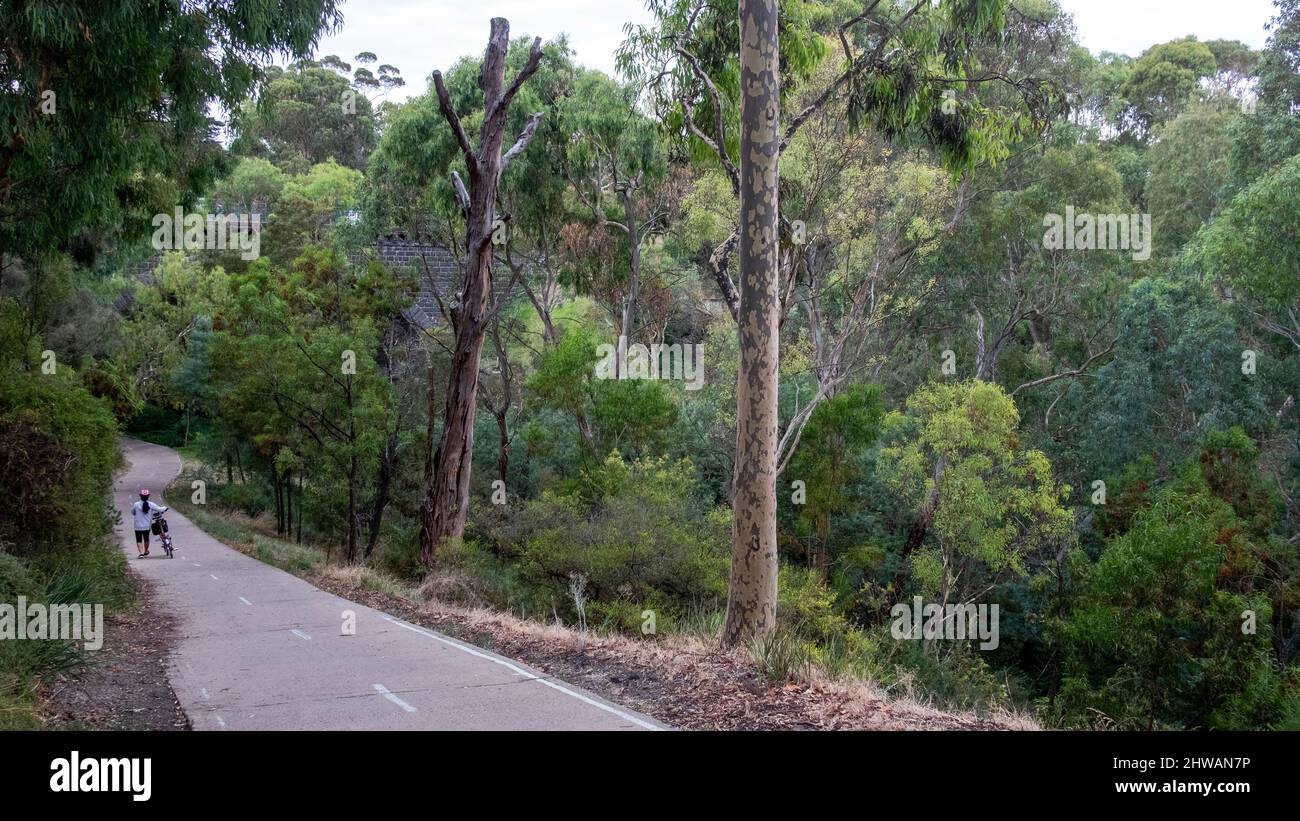 Woman wheeling a bike along the Merri creek trail. Clifton Hill, Melbourne, Victoria, Australia Stock Photo