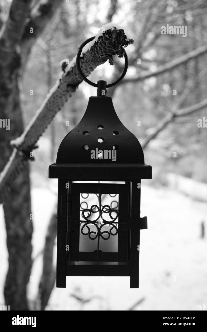 Black and white photo of hanging rustic black lantern with lighted candle on tree limb in the winter. Stock Photo