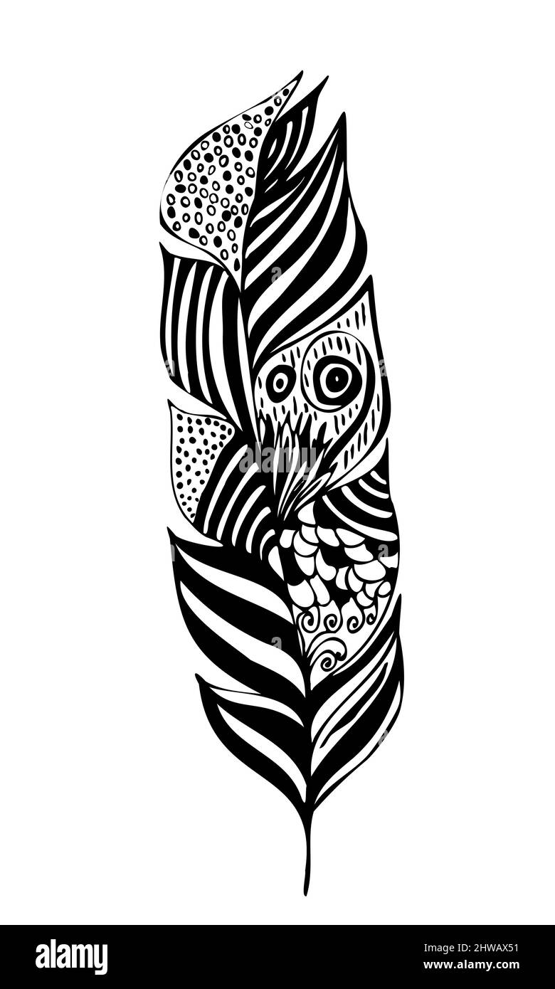 figure of feather handwritten in black and white with ornament Stock ...
