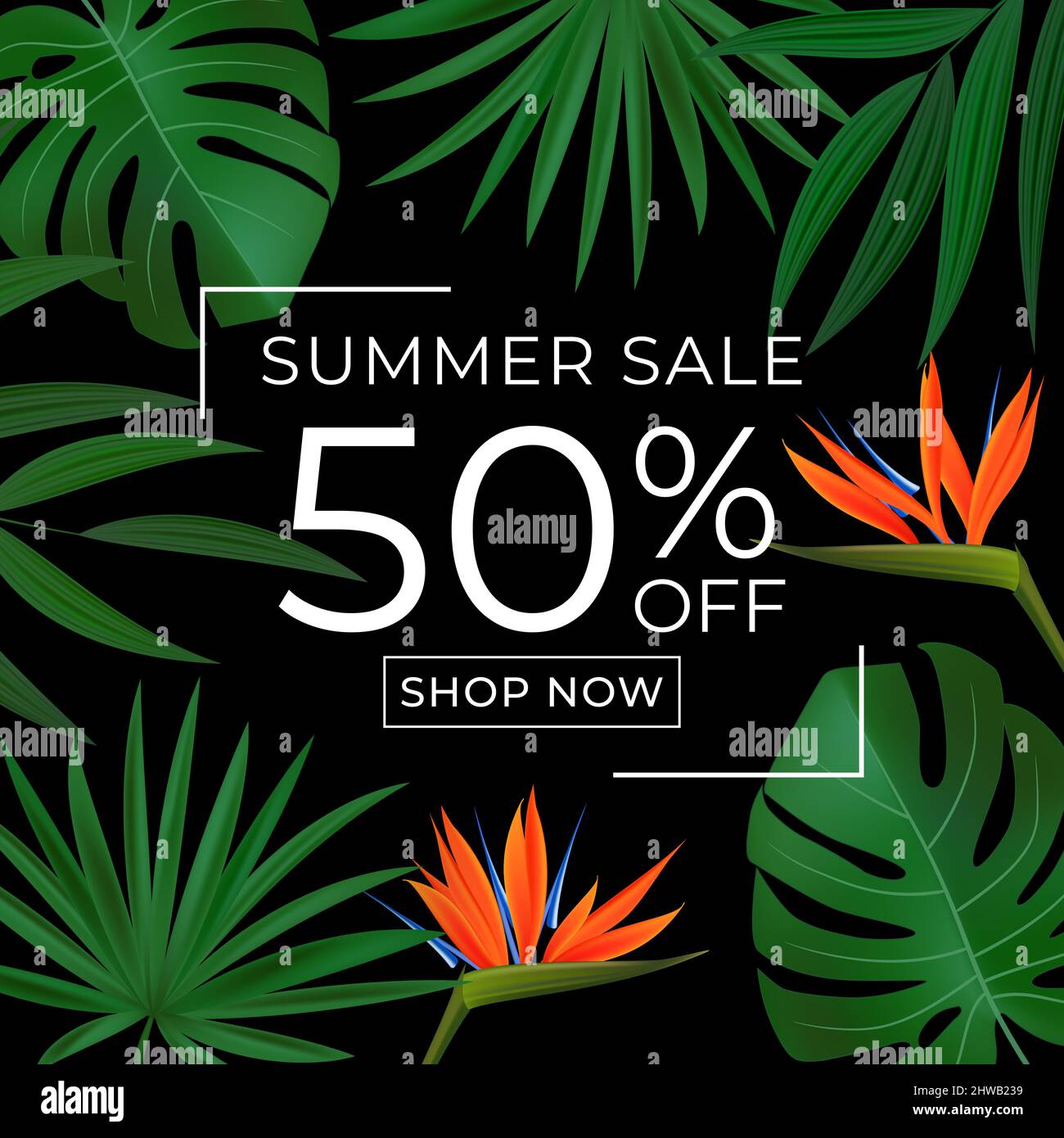 Summer sale poster. Natural Background with Tropical Palm and Monstera ...