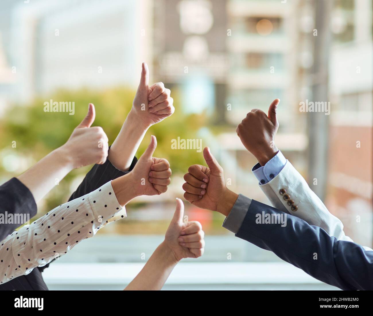 Exceptional work. Cropped shot of a group of businesspeople showing a thumbs up gesture. Stock Photo