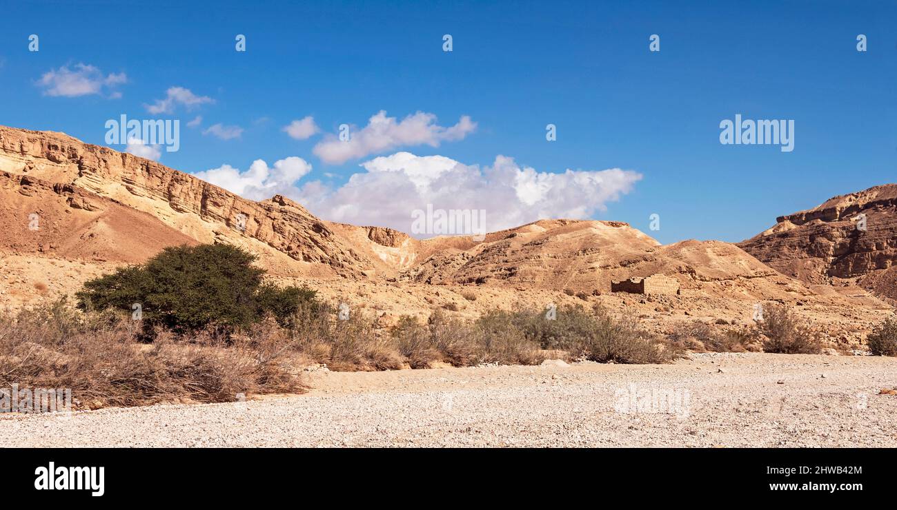 ruins of the Nabatean Metzad Nekarot fort on a hill above the dry Nekarot stream bed in the Spice Route in Israel with a giant acacia tree Stock Photo