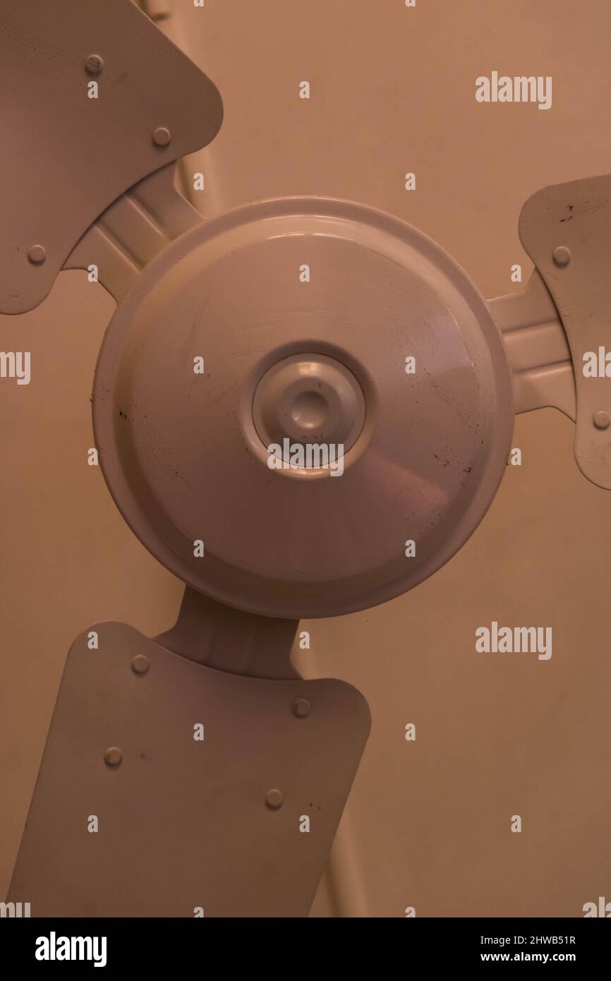 Motor Housing, Switch Housing and Blades of Ceiling Fan, Three Blade ...