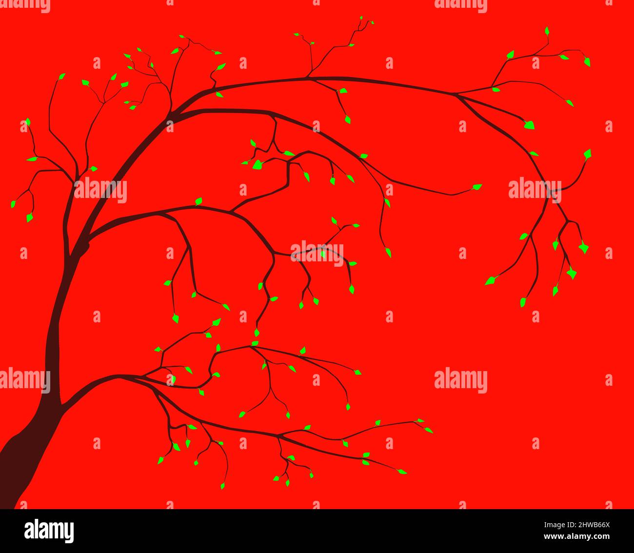 A sparse branch with green leaves set over a red background Stock Photo