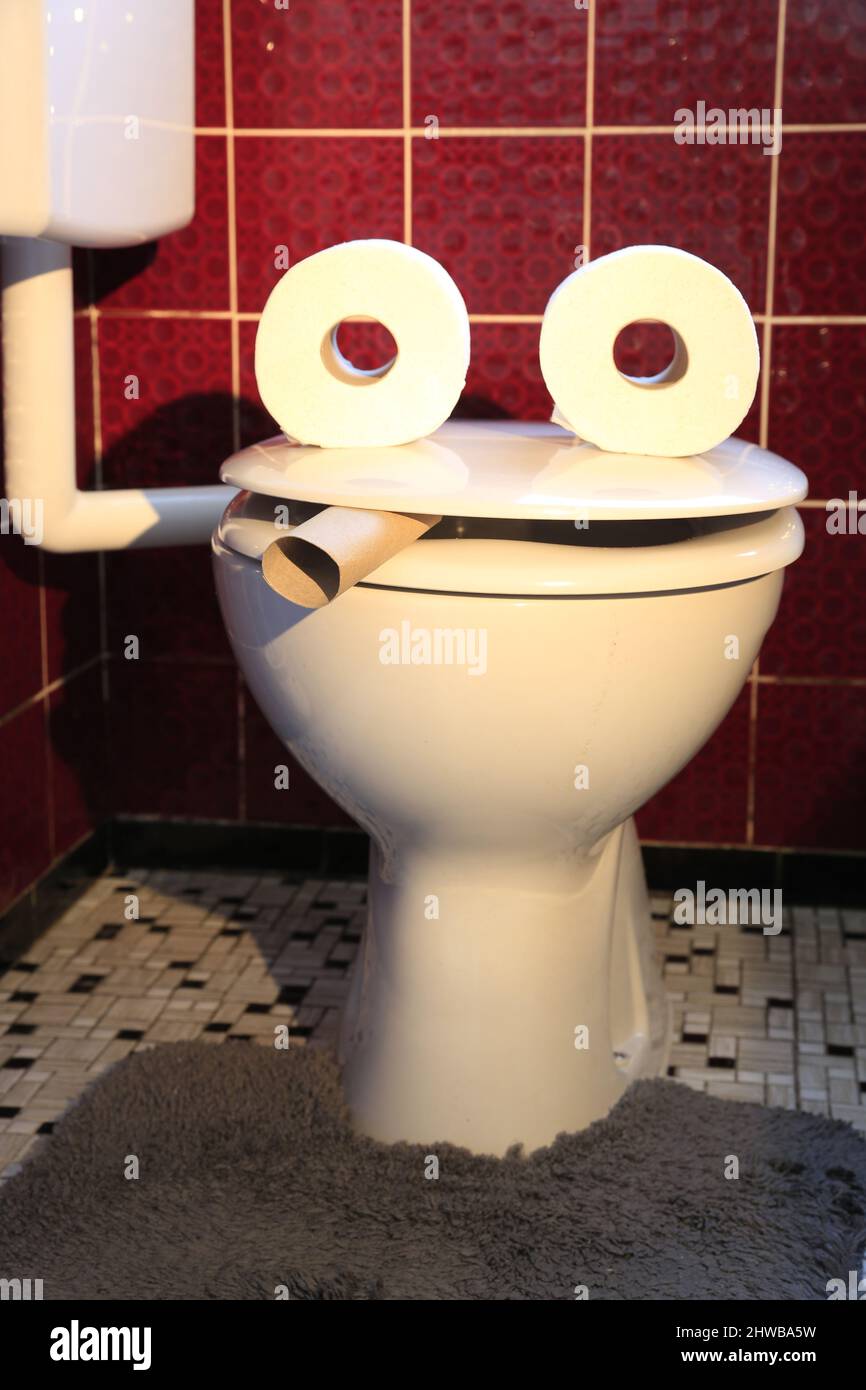 Funny Toilette - lustige Toilette - Punk, Rock, Bathroom  #BookCover Stock Photo