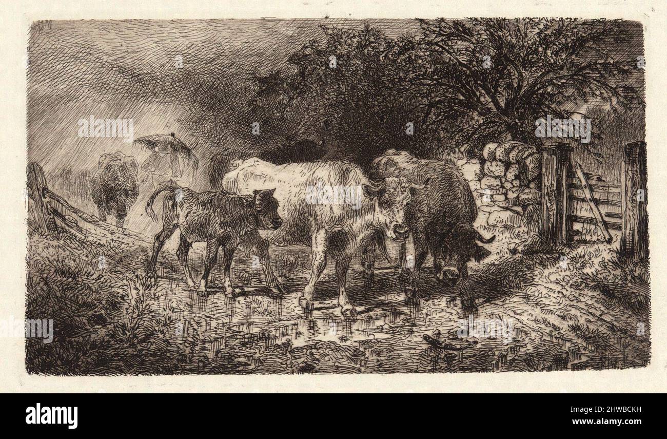 Welcome to the TWC community, and !, image size:1300x855