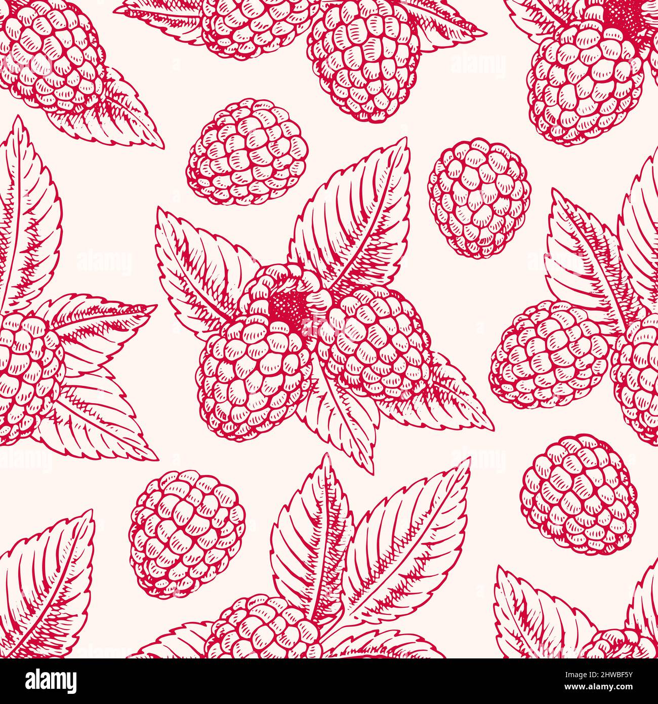 Cute seamless background with ripe pink raspberries and leaves. hand ...