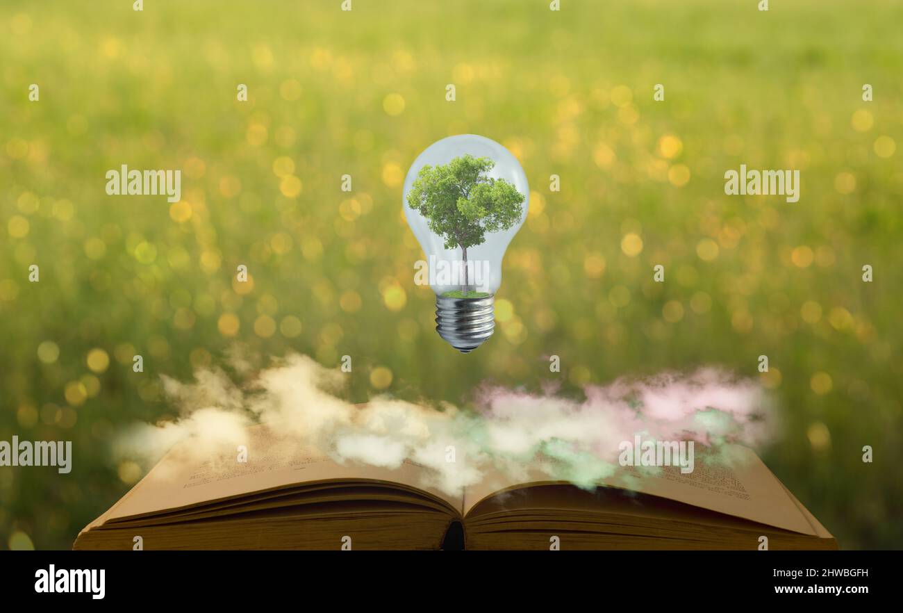 Knowledge. Light bulb with a tree inside suspended on an old open book ...