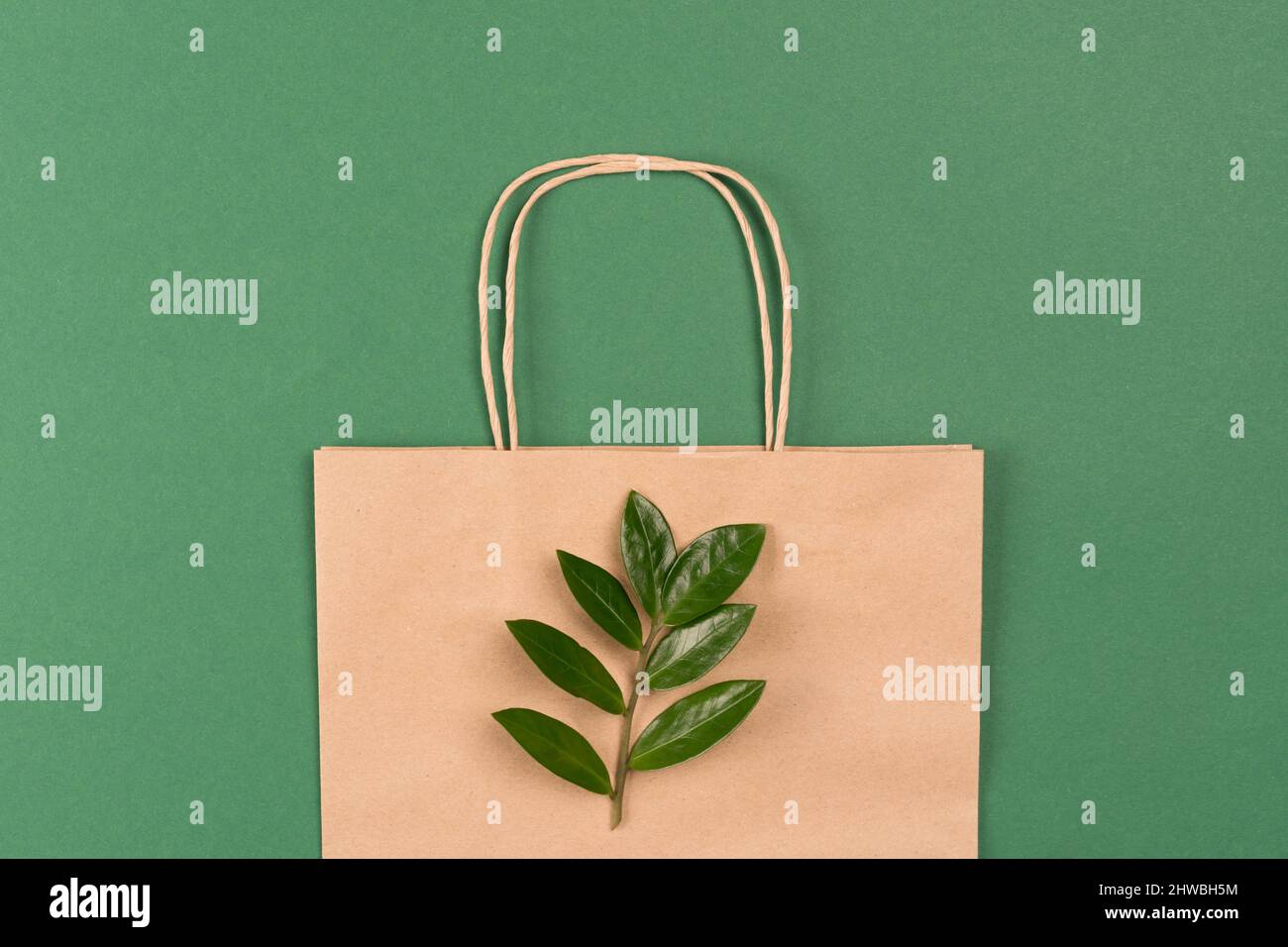 Recycled kraft paper bag with green leaves on green background ...