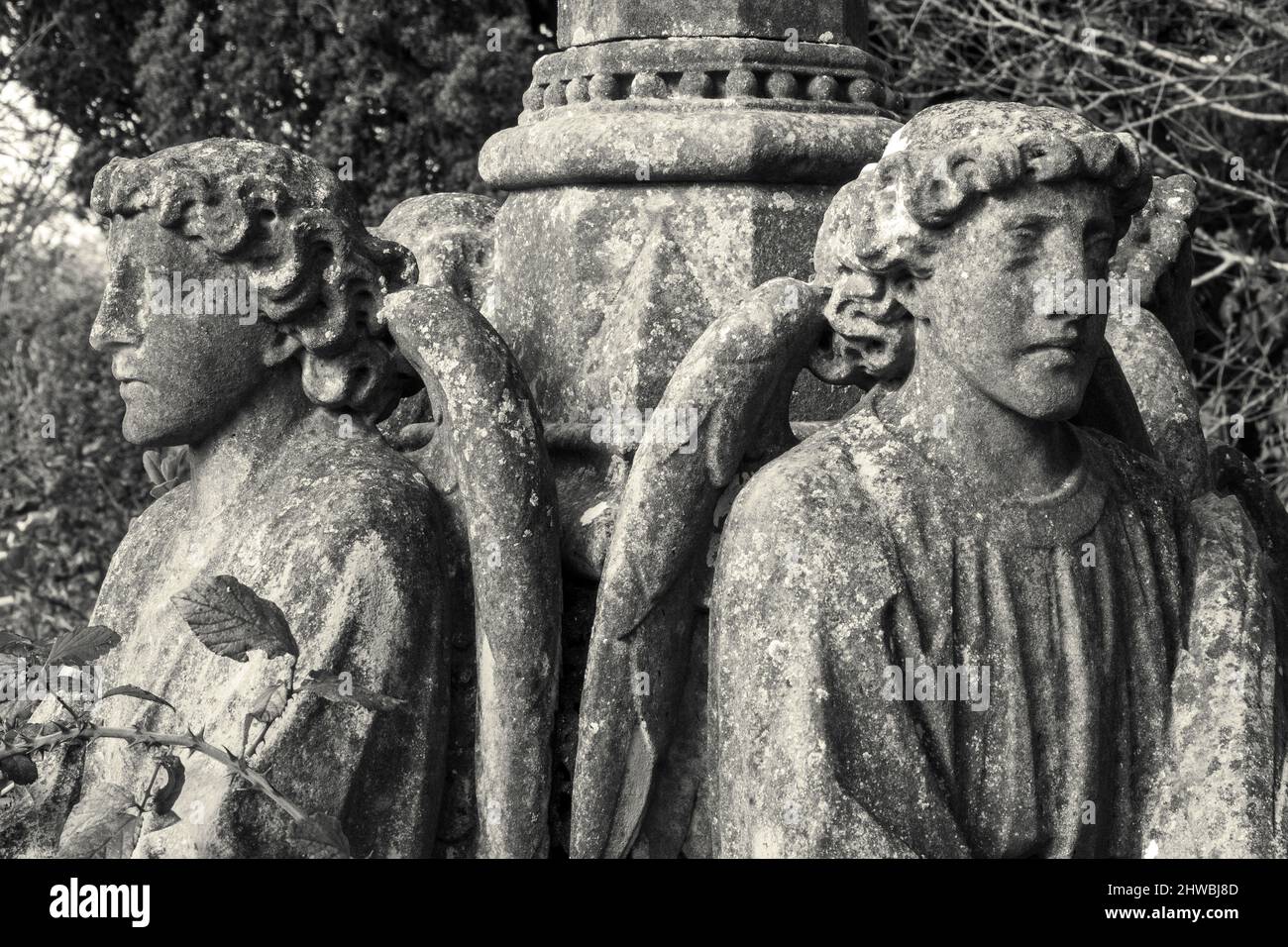 Four seated stone angels around a graveyard monument entwined with brambles Stock Photo