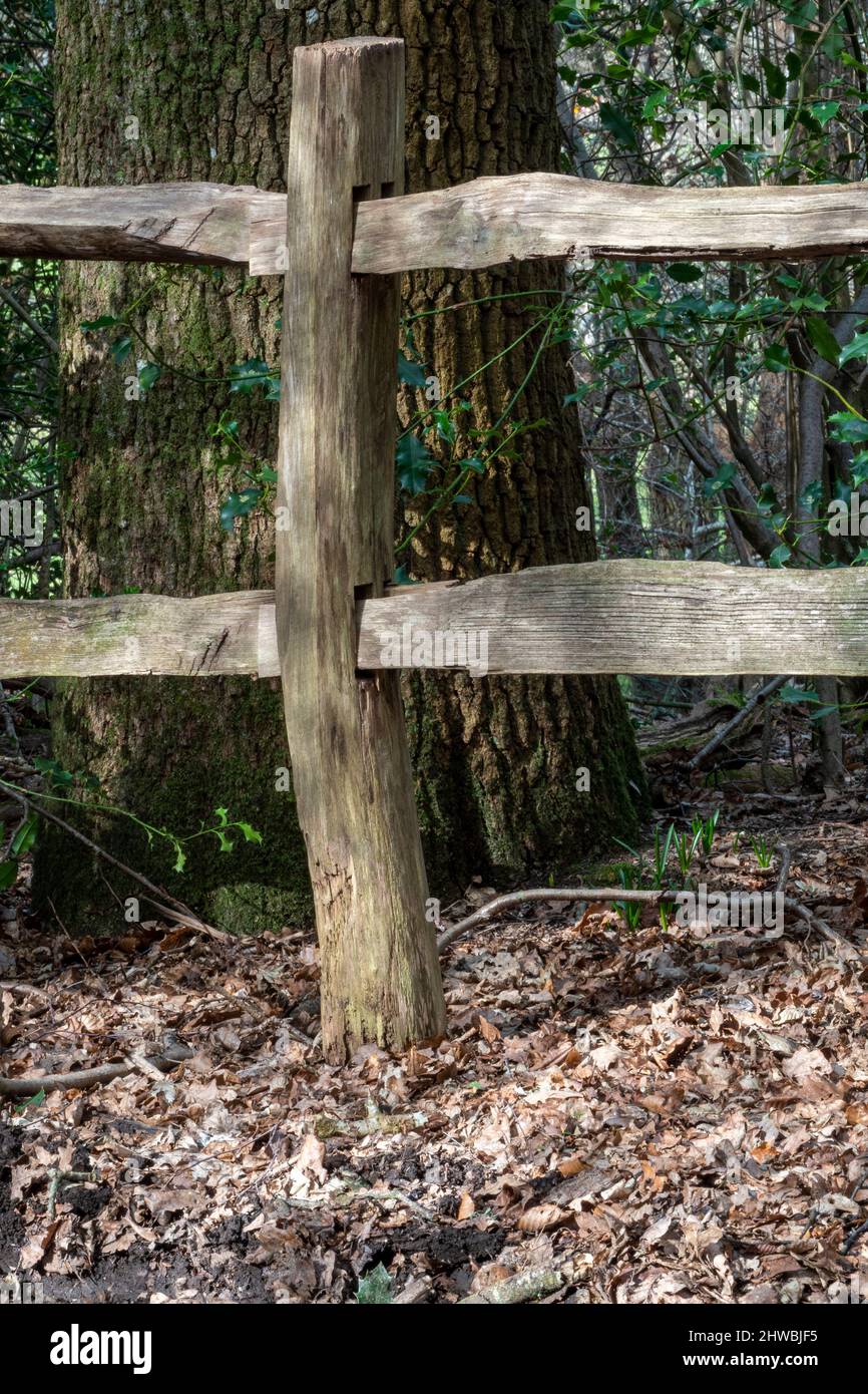 Detail of cleft post and rail wooden fencing showing joints Stock Photo Alamy