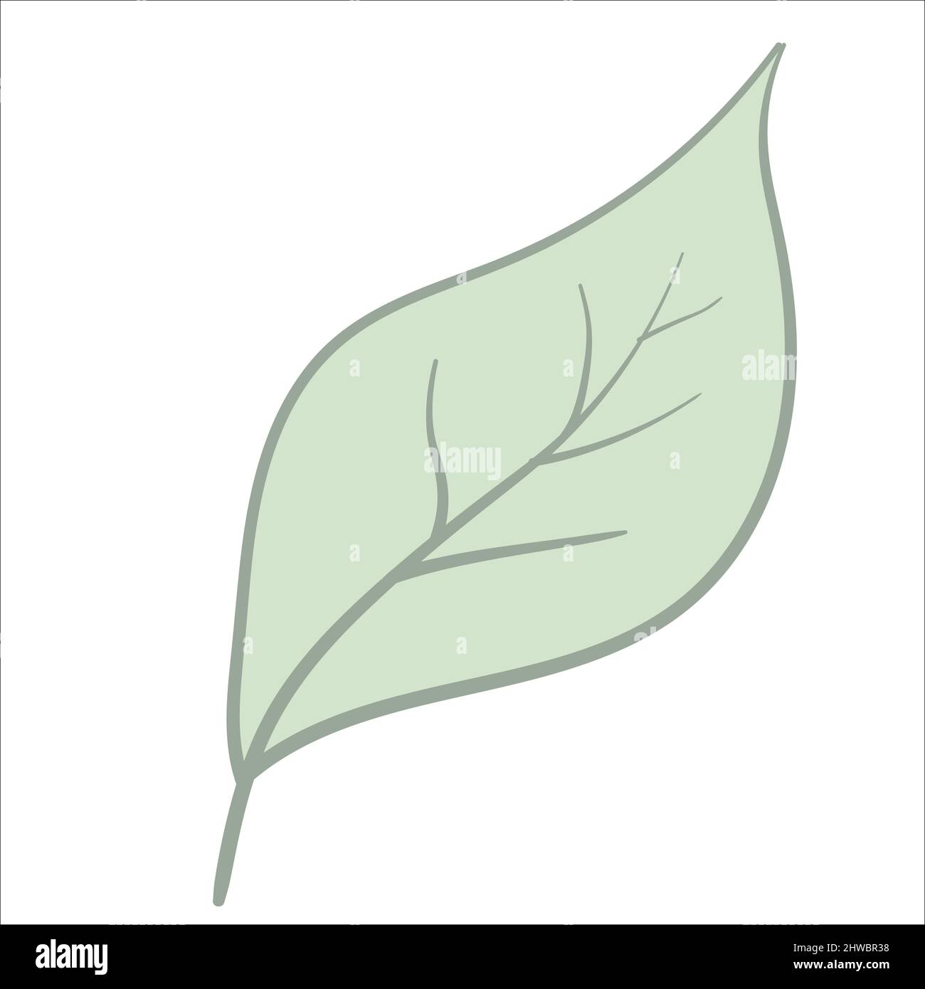 Leaf Line Art With Shapes In Pastel Stock Vector Image & Art - Alamy