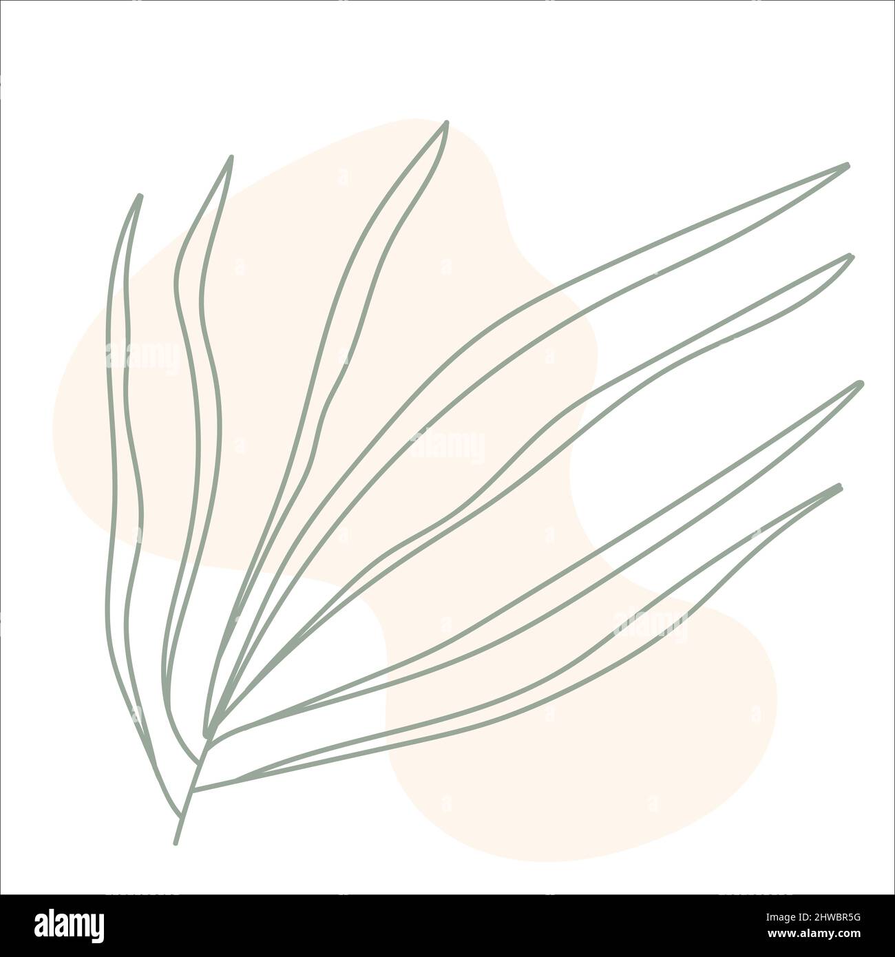 Leaf Line Art With Shapes In Pastel Stock Vector Image & Art - Alamy