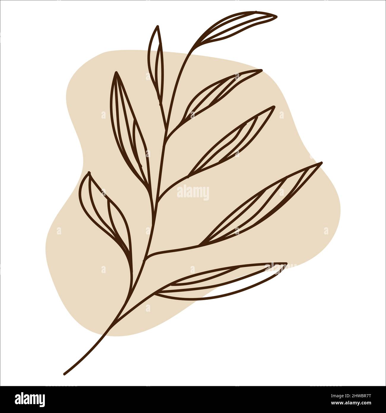 Leaf Line Art With Shapes In Pastel Stock Vector Image & Art - Alamy