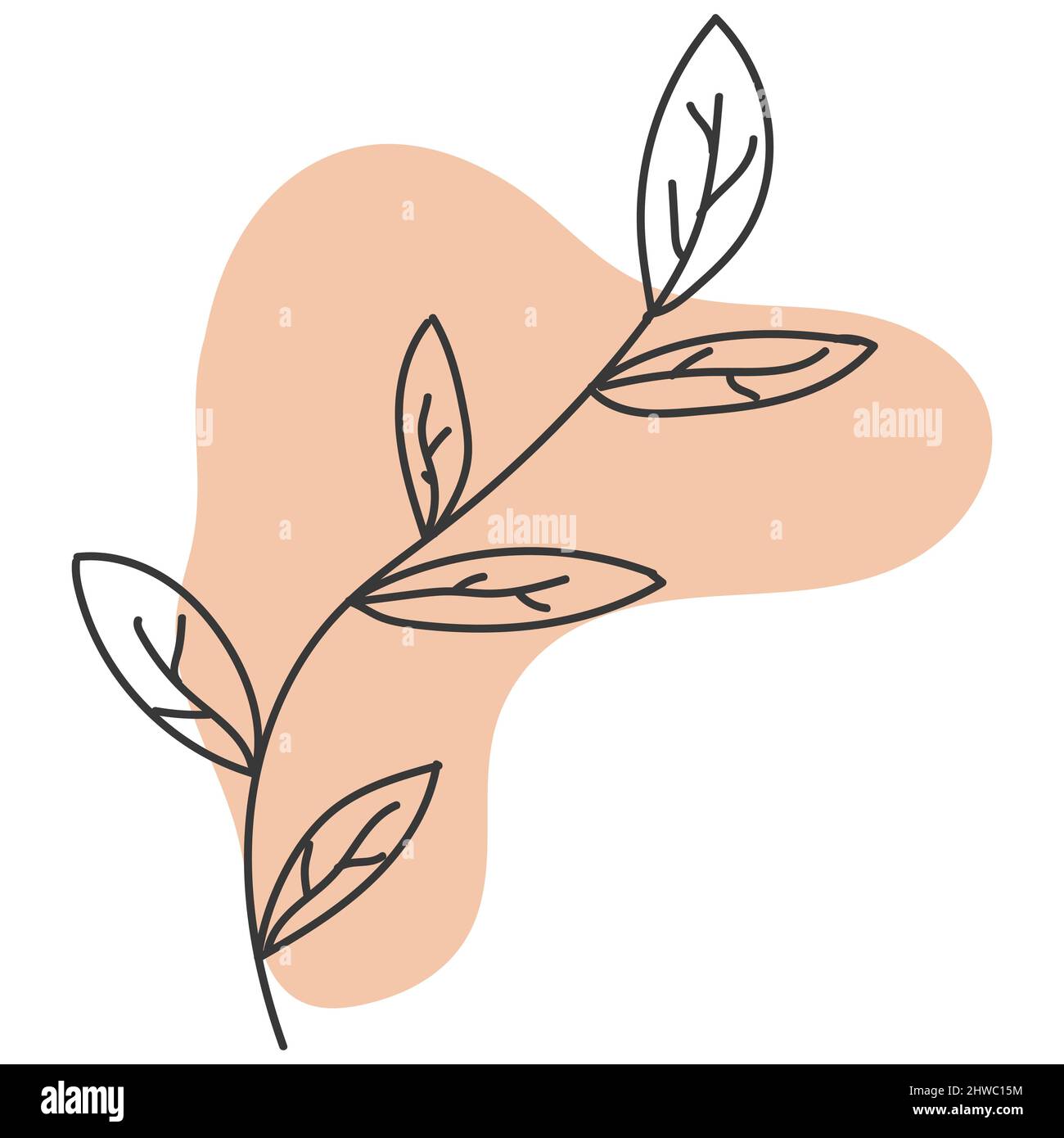Leaf Line Hand Drawn Cute Illustration Pastel Color Stock Vector Image ...