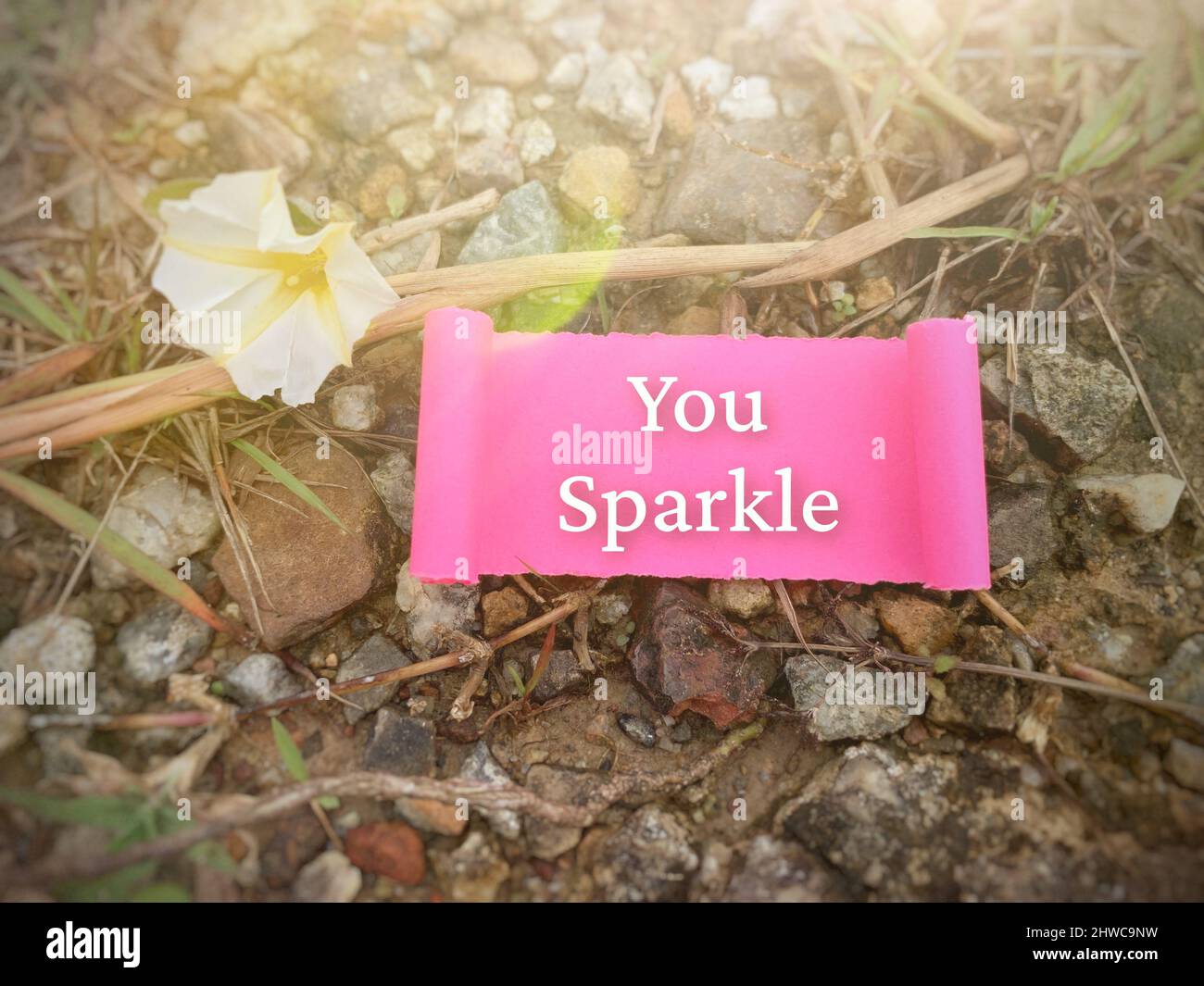 Motivational and Inspiration quote - You sparkle. Conceptual Stock Photo