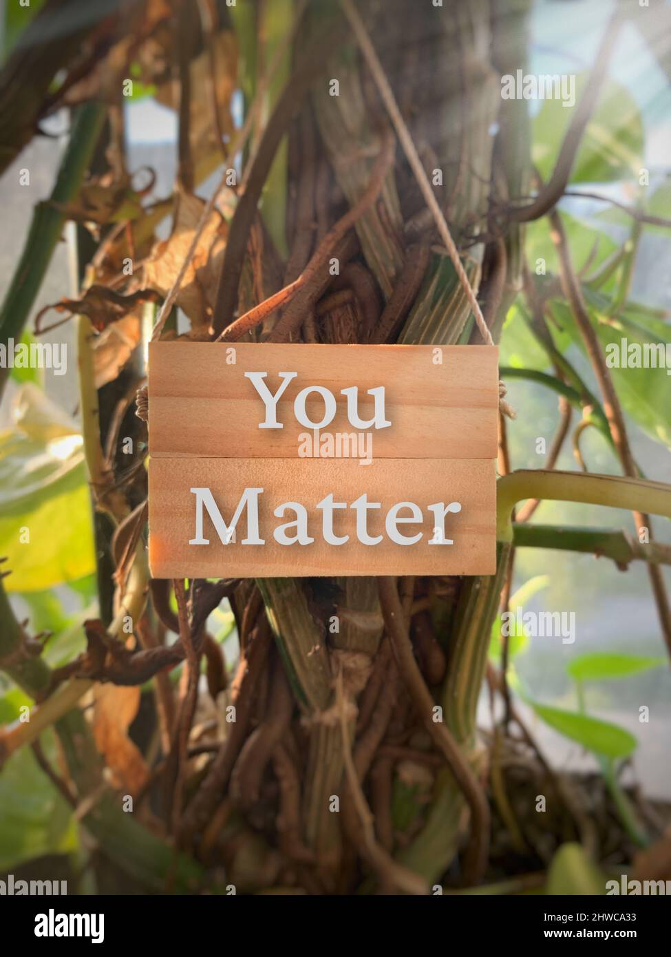 Motivational and Inspiration quote - You matter. Conceptual Stock Photo