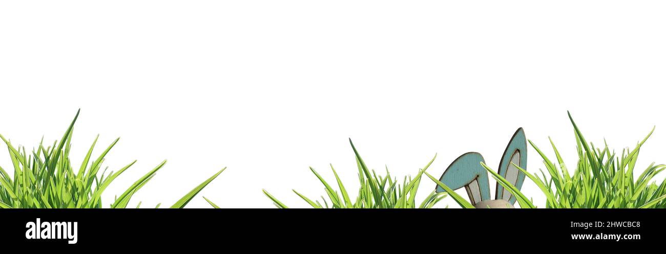 banner easter bunny ears center left side, peeping through green grass isolated osterhase- copy space Stock Photo