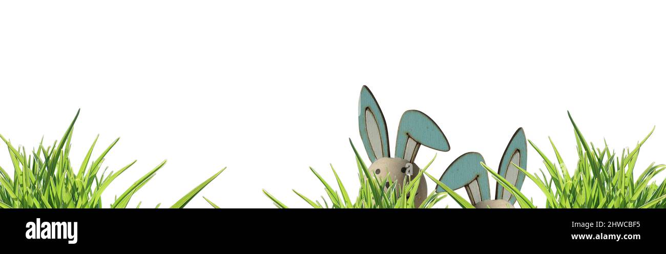 banner two easter bunny ears left side, peeping through green grass isolated osterhase- copy space Stock Photo