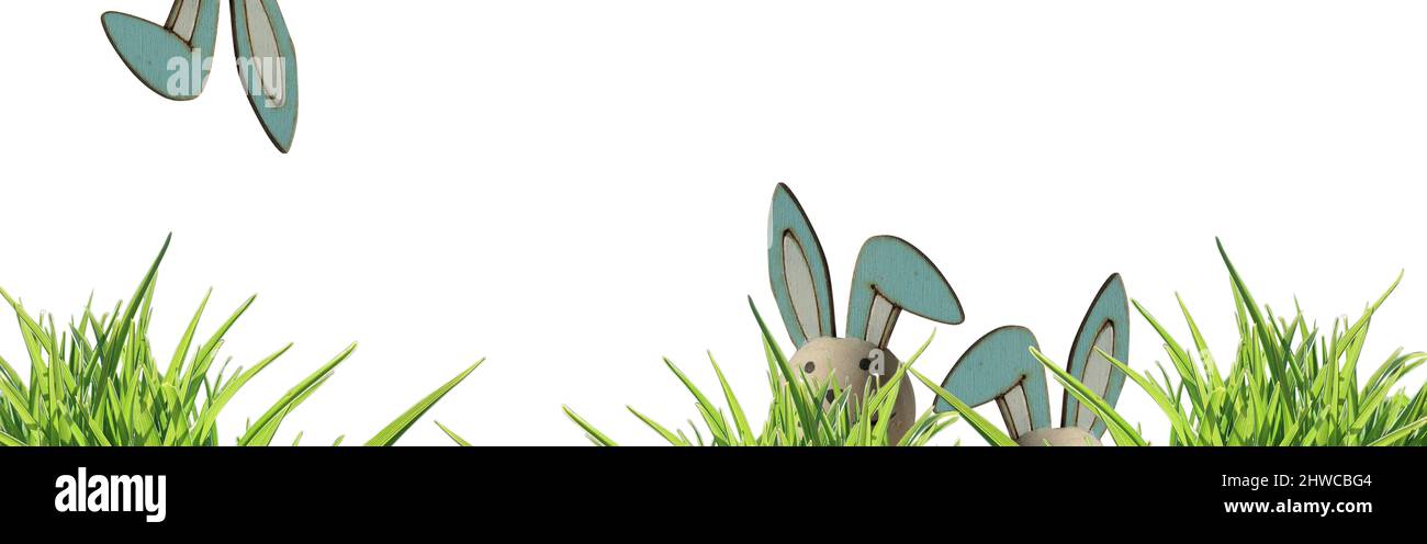 banner three easter bunny ears left side, peeping through green grass isolated osterhase- copy space Stock Photo