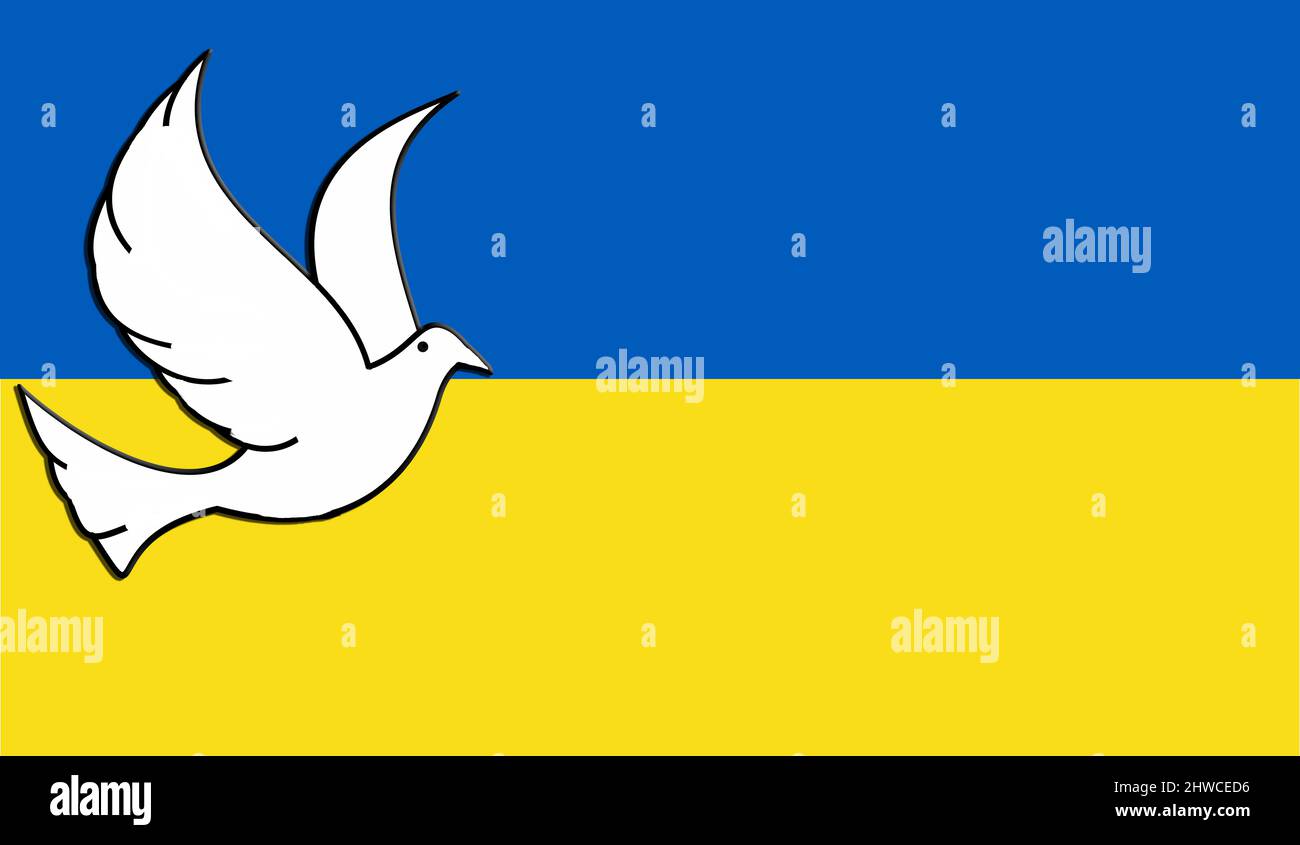 Flag of Ukraine with a white dove Stock Photo