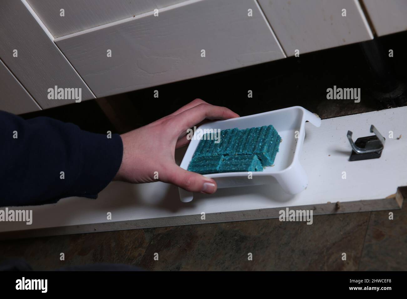 Pest control expert lays rodent poison under  kitchen units. Stock Photo