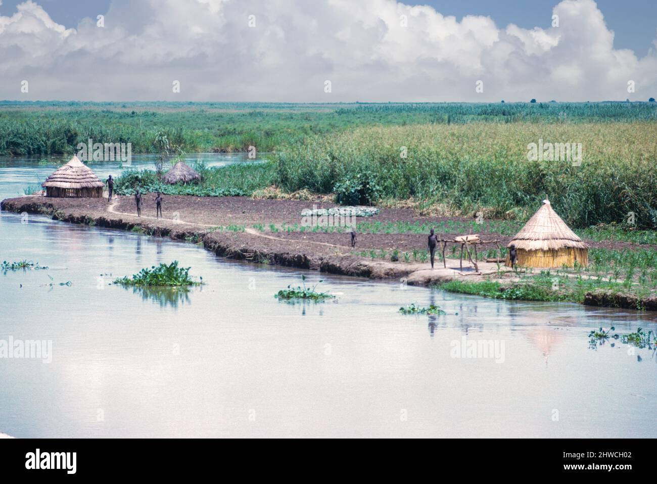 Native Huts along the White Nile, north of Juba, South Sudan. Photographed September 1972. Stock Photo