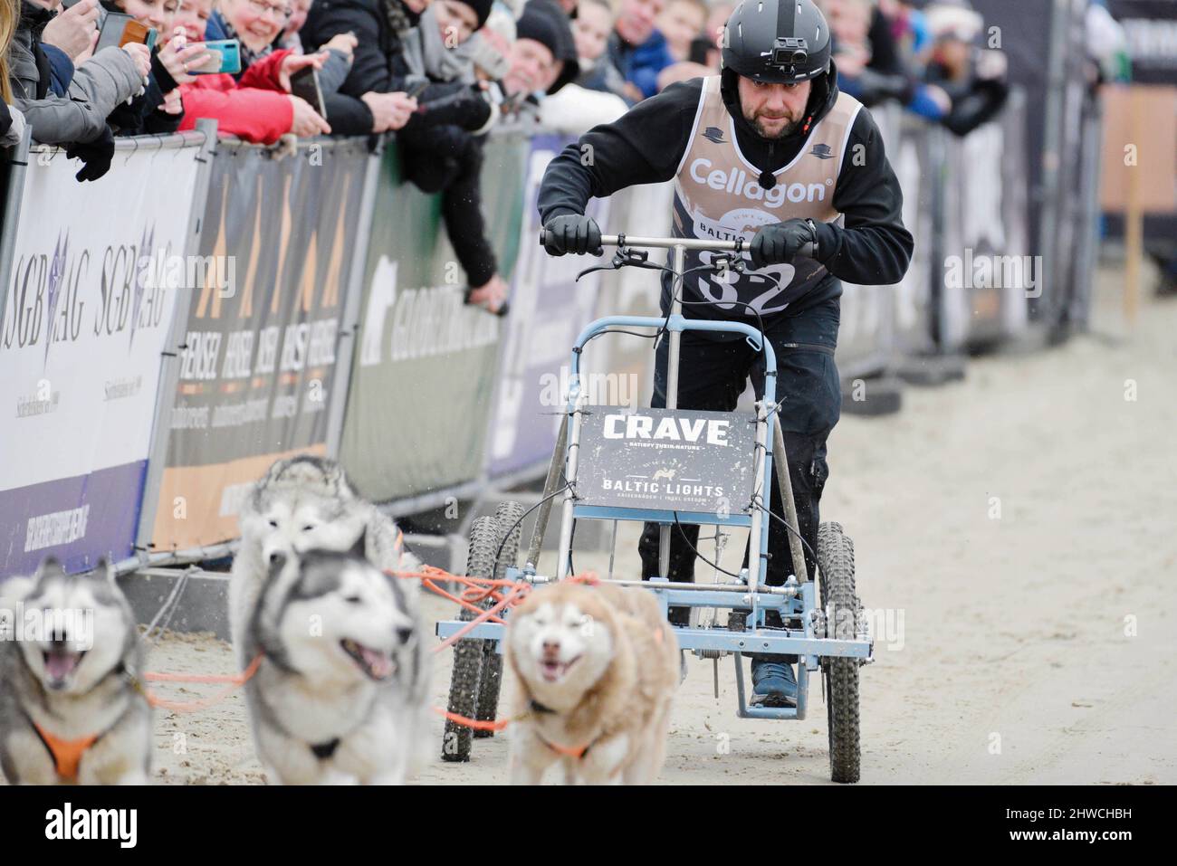Ahlbeck, Germany. 05th Mar, 2022. Matthias Killing with his sled dogs on the move. With many celebrities among the starters, the sled dog race 'Baltic Lights' has begun on the Baltic Sea island of Usedom for the benefit of Welthungerhilfe. Credit: Frank Hormann/dpa/Alamy Live News Stock Photo
