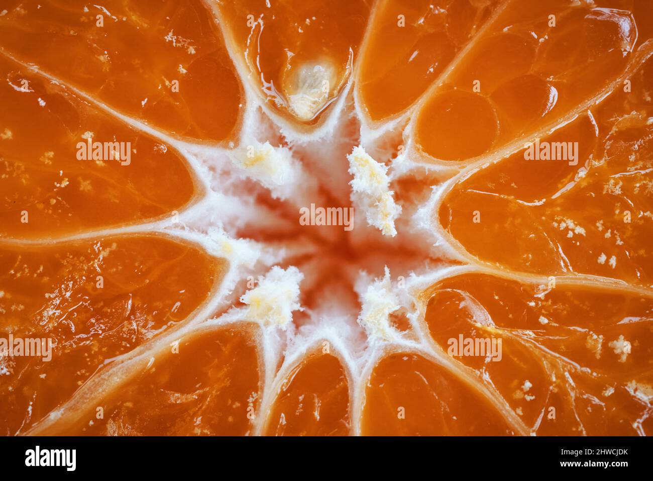 Close up sliced oranges hi-res stock photography and images - Alamy