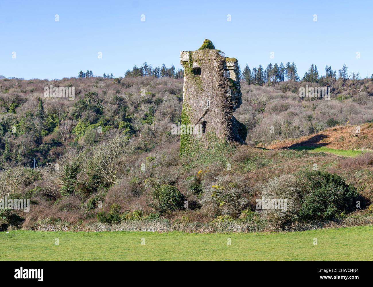 Raheen Castle Ruin, West Cork, Ireland Stock Photo